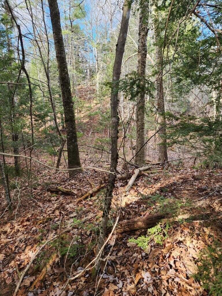 86 Oak Hill Road, Belfast, ME, 04915