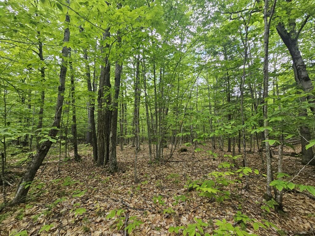 M10L44 Mountain View Road, Fryeburg, ME, 04037