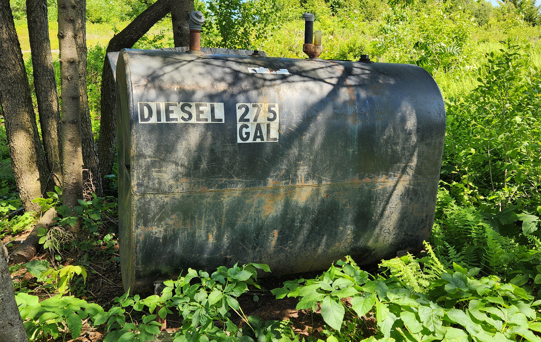 533 Mount Ephraim Map 4 Lot 63 Road, Searsport, ME, 04974