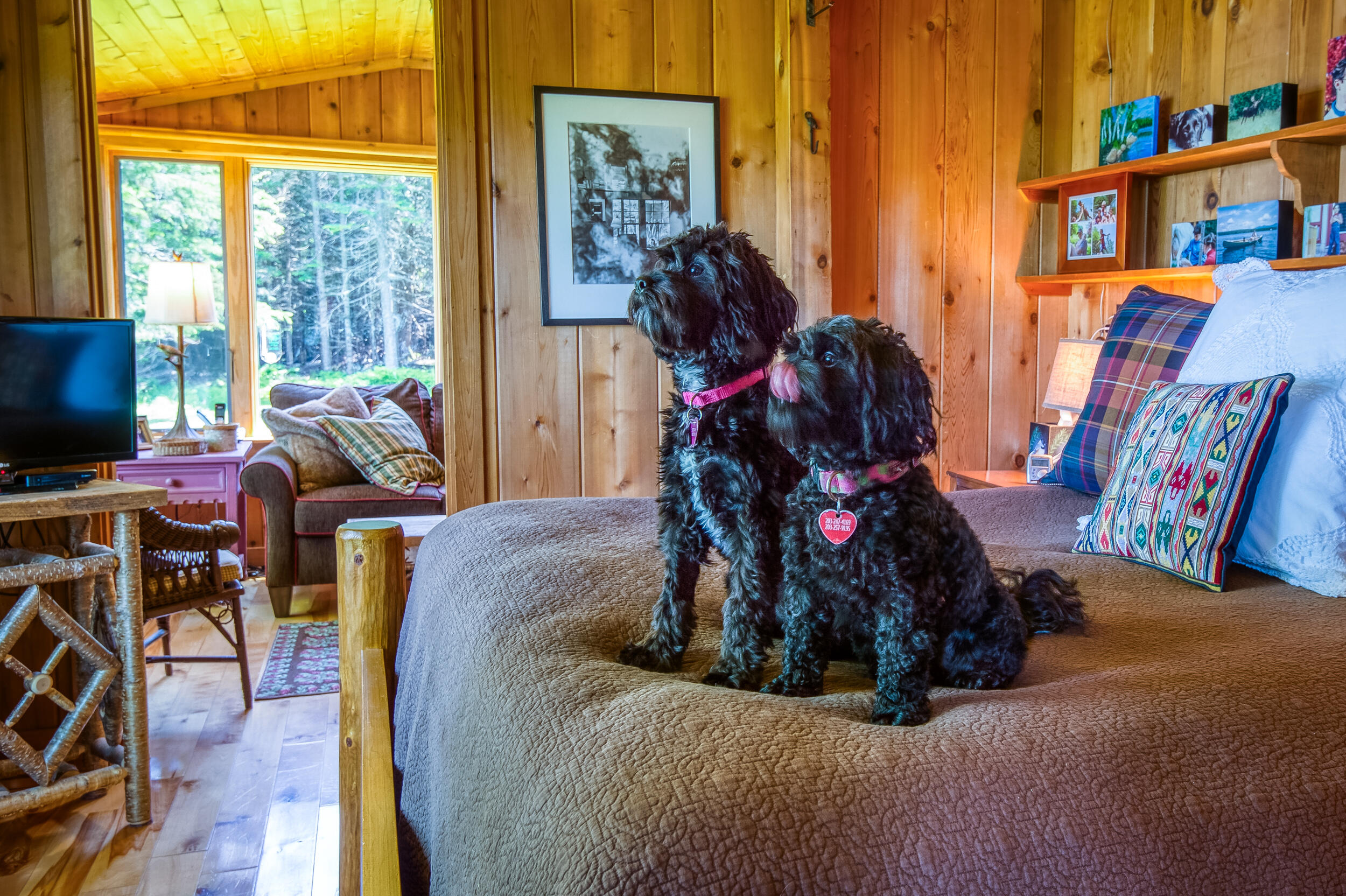 142 Gull Pond Road, Dallas Plt, ME, 04970