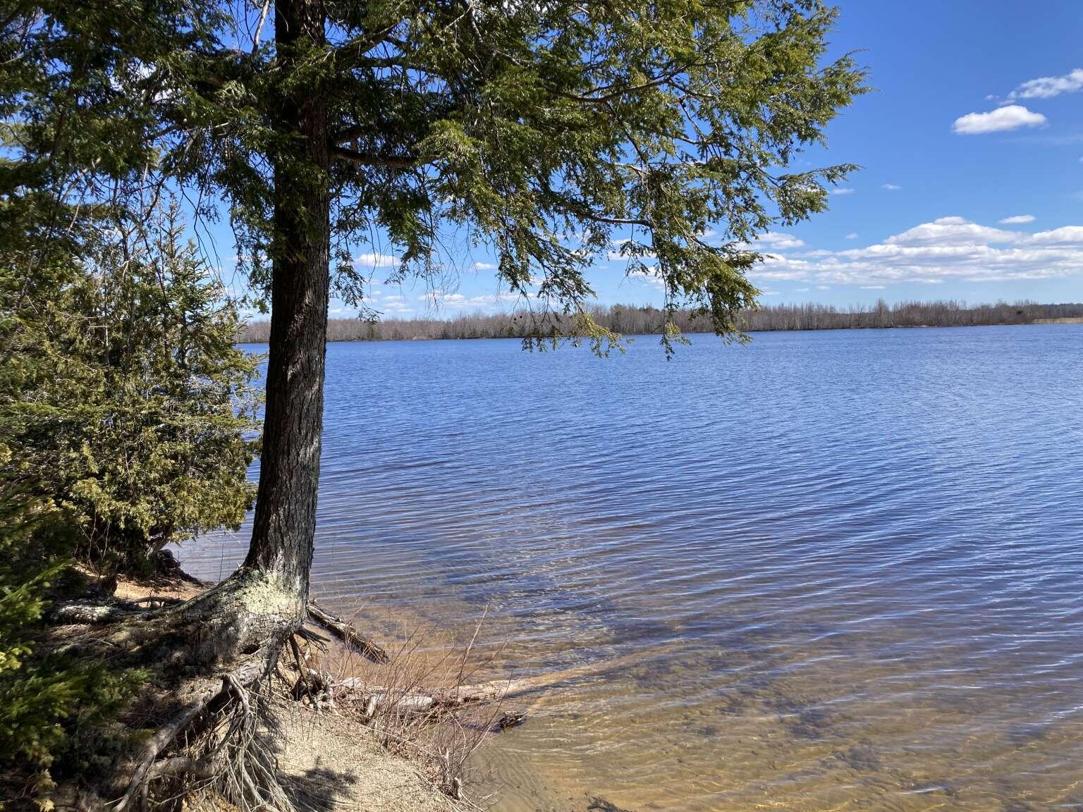 242 Tannery Brook Road, Mariaville, ME, 04605