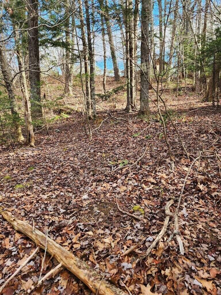 86 Oak Hill Road, Belfast, ME, 04915