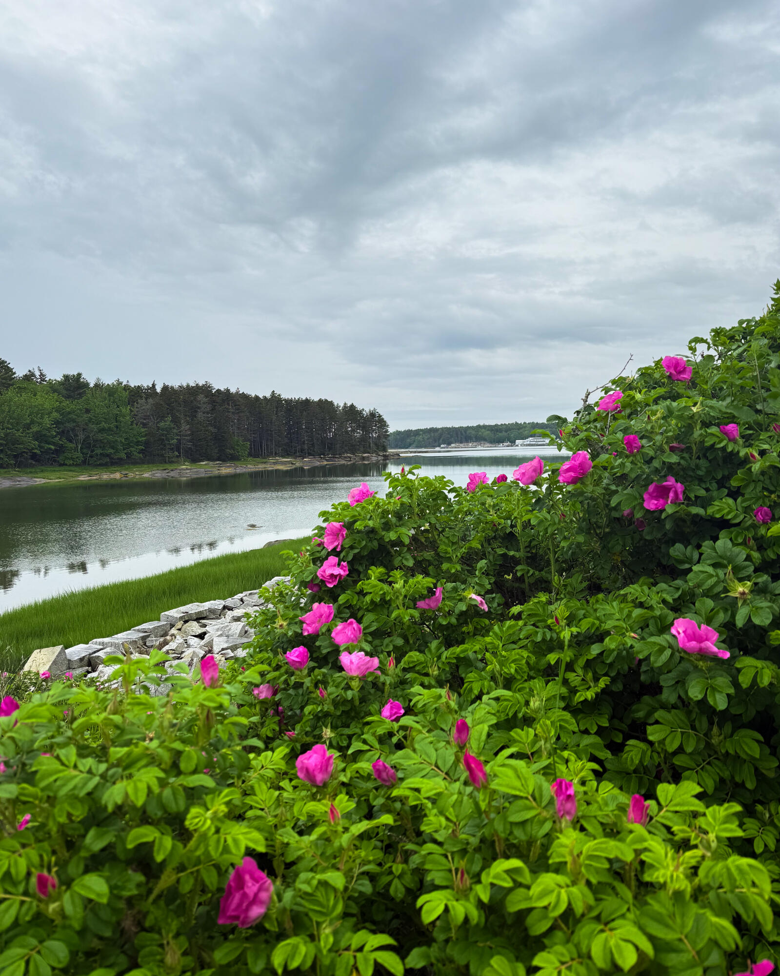 260 Clark Island Road, Saint George, ME, 04859