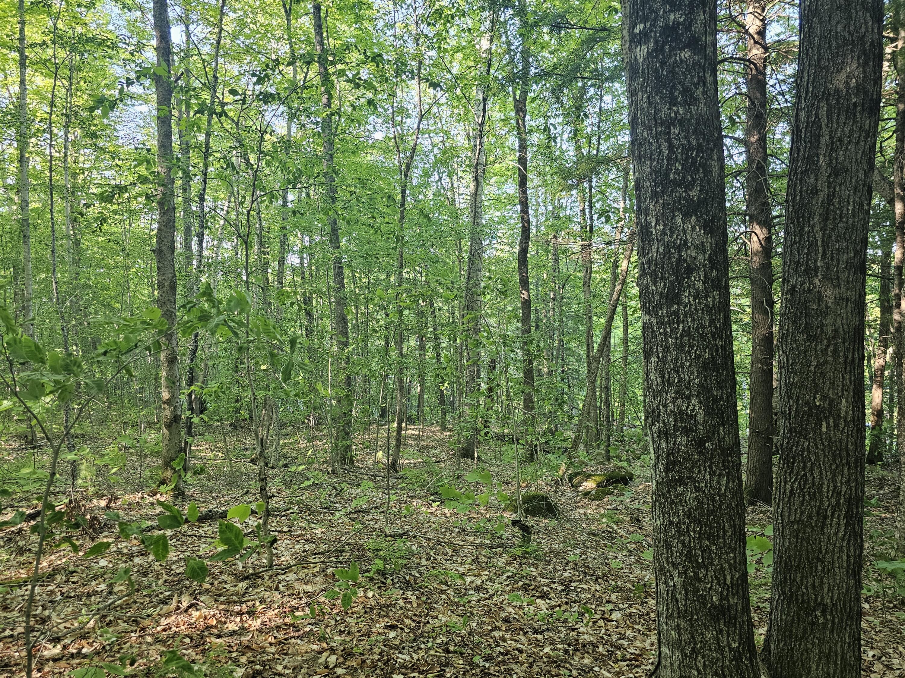 PL5,6,9,10 Great Moose Drive, Hartland, ME, 04493