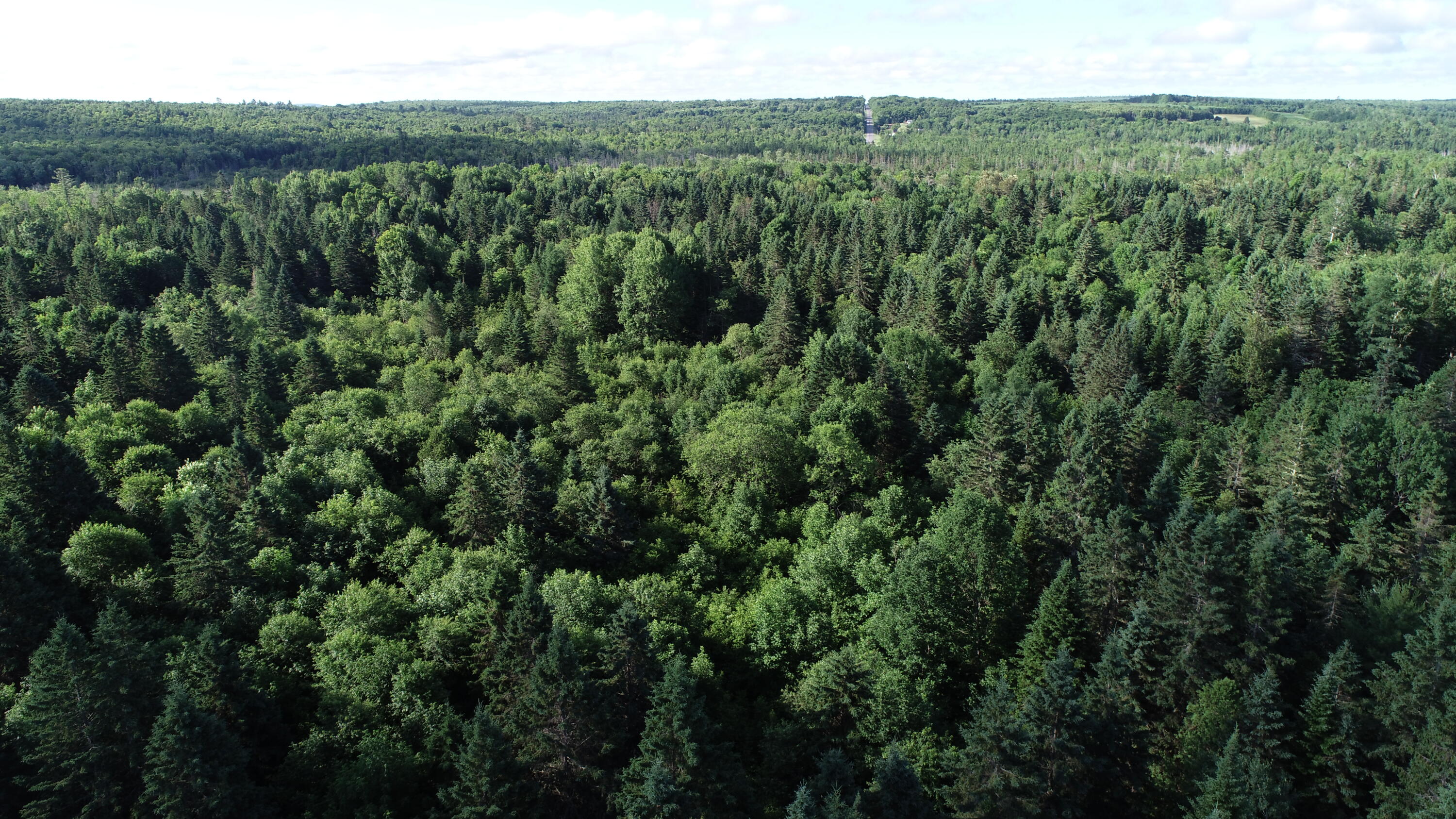 Lot 27 Brewer Road, Cary Plt, ME, 04471