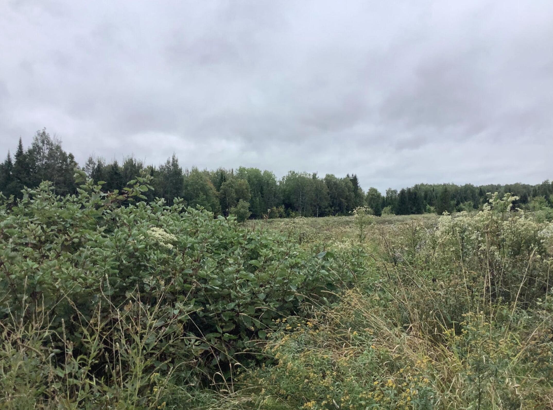 3 Abel Cyr Road, Cyr Plt, ME, 04785