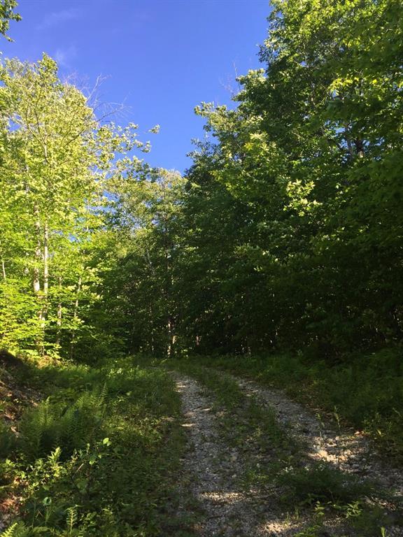28 South Pond Shore Lane, Greenwood, ME, 04255