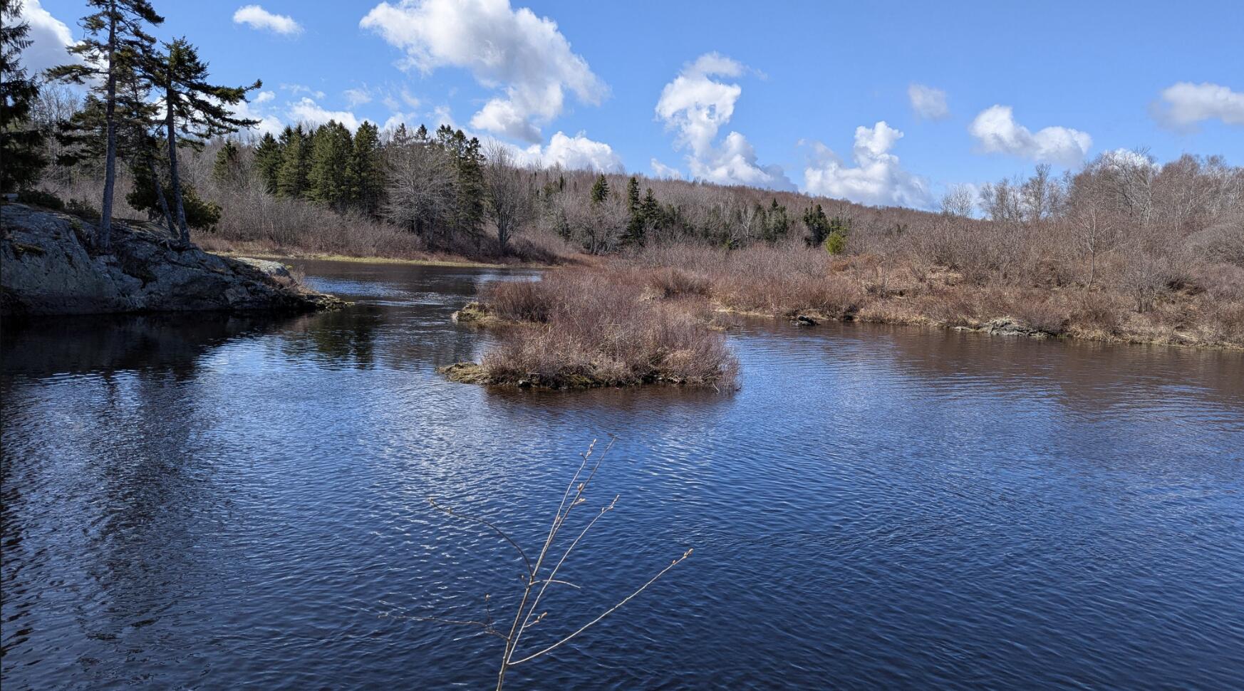 19 Lubec Road, Whiting, ME, 04691