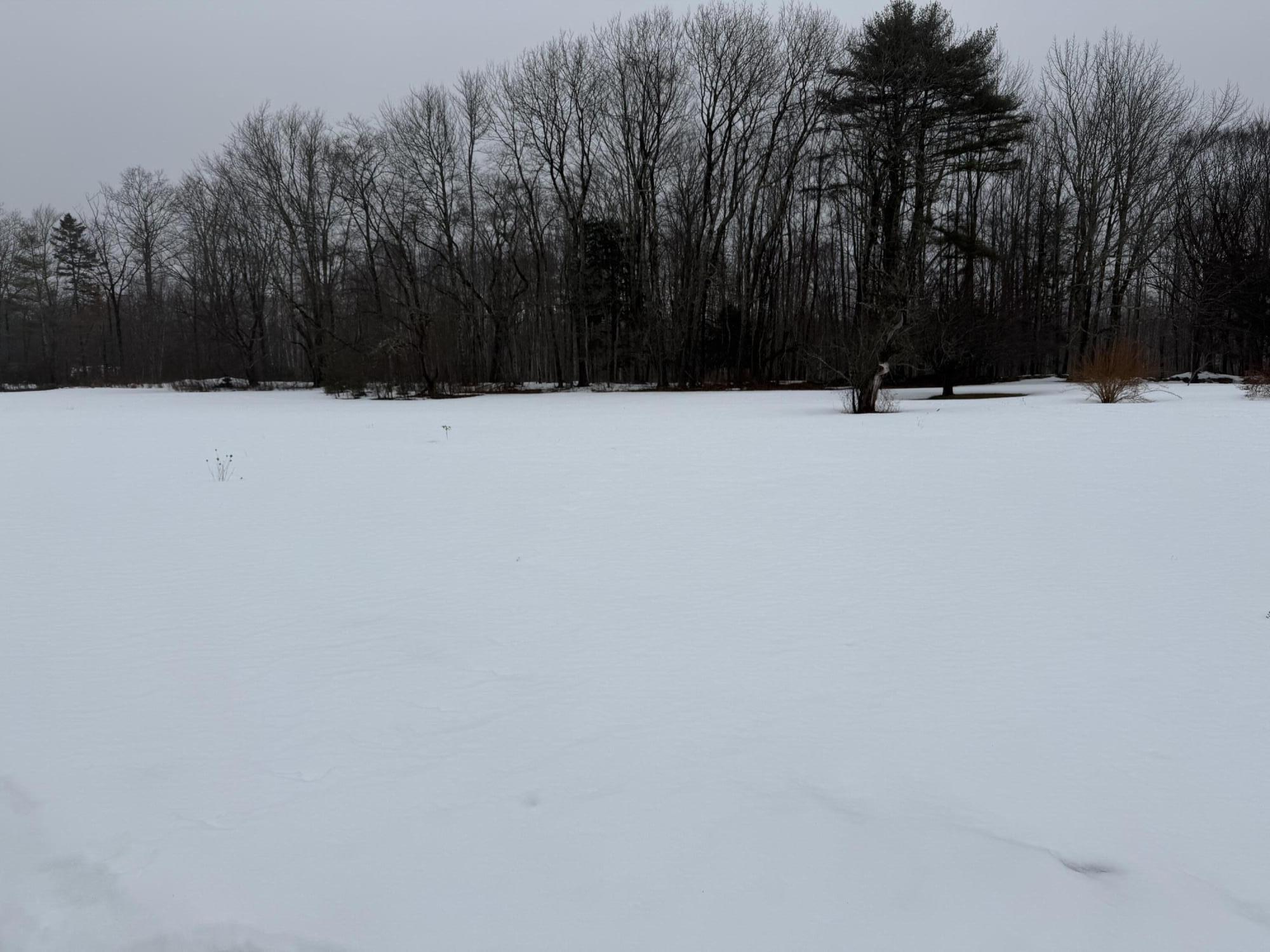 M7 L8 Bemis Road UNIT M7 L8, Rangeley Plt, ME, 04970