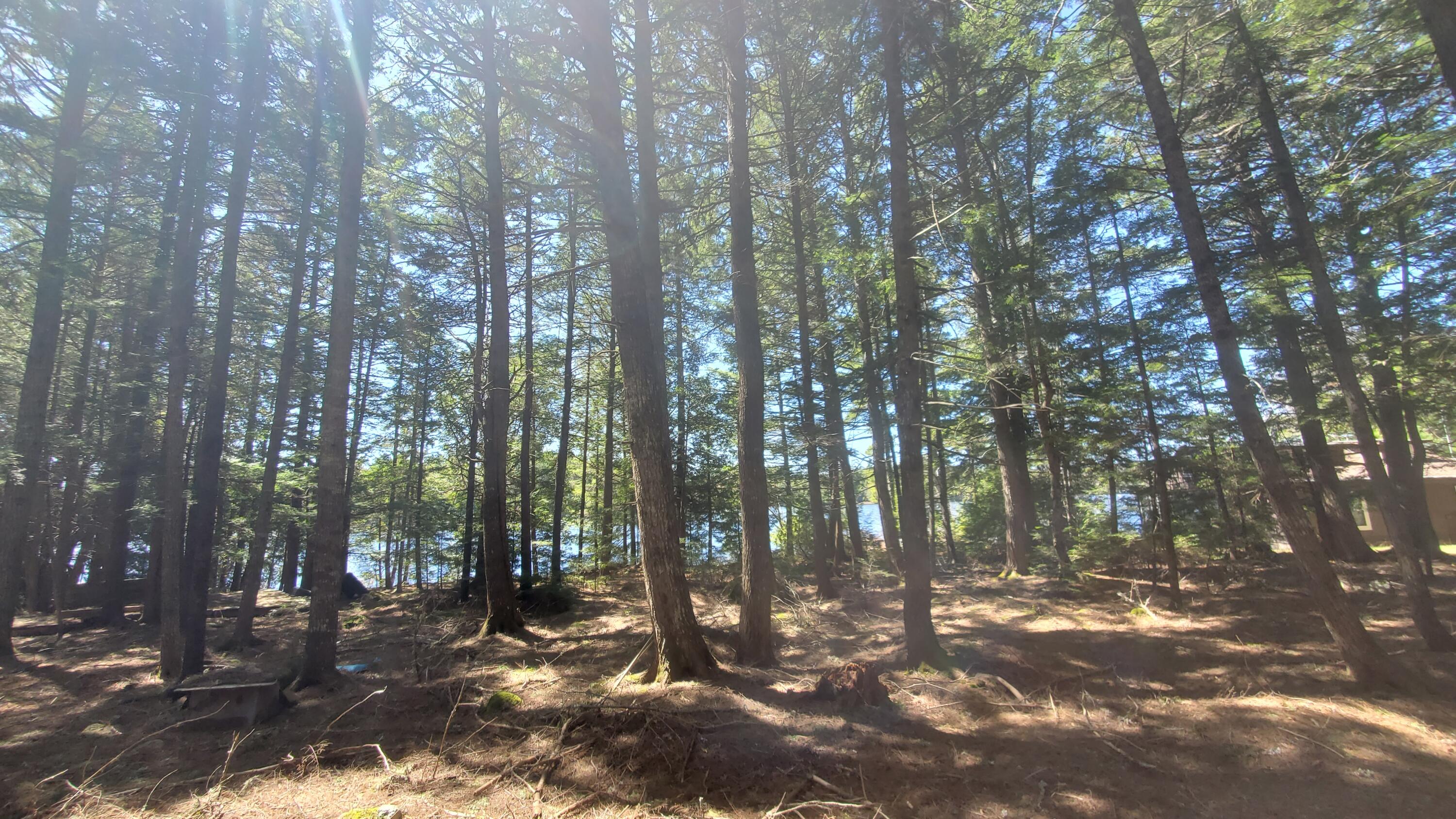 307 Lakeville Shores Road, Lakeville, ME, 04487
