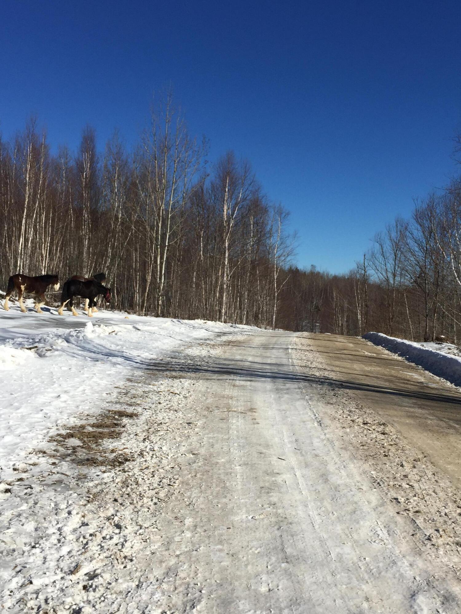 tbd Plumbago Mountain, Newry, ME, 04261