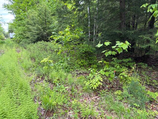 44A Trott Road Road, Woolwich, ME, 04579