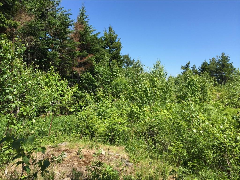 65 Lookout Mountain Road, East Machias, ME, 04630