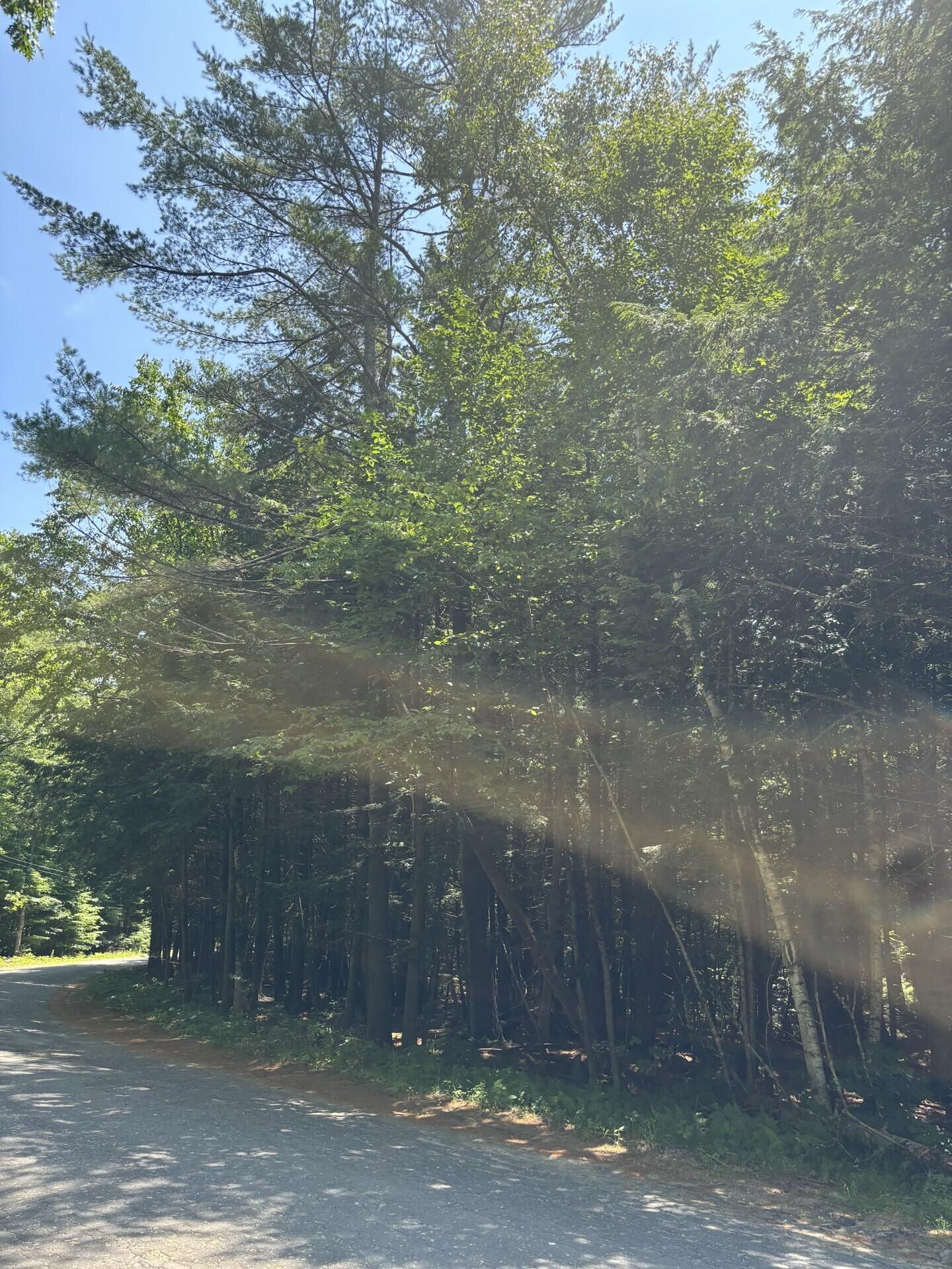 090 Belanger Road, Jay, ME, 04239