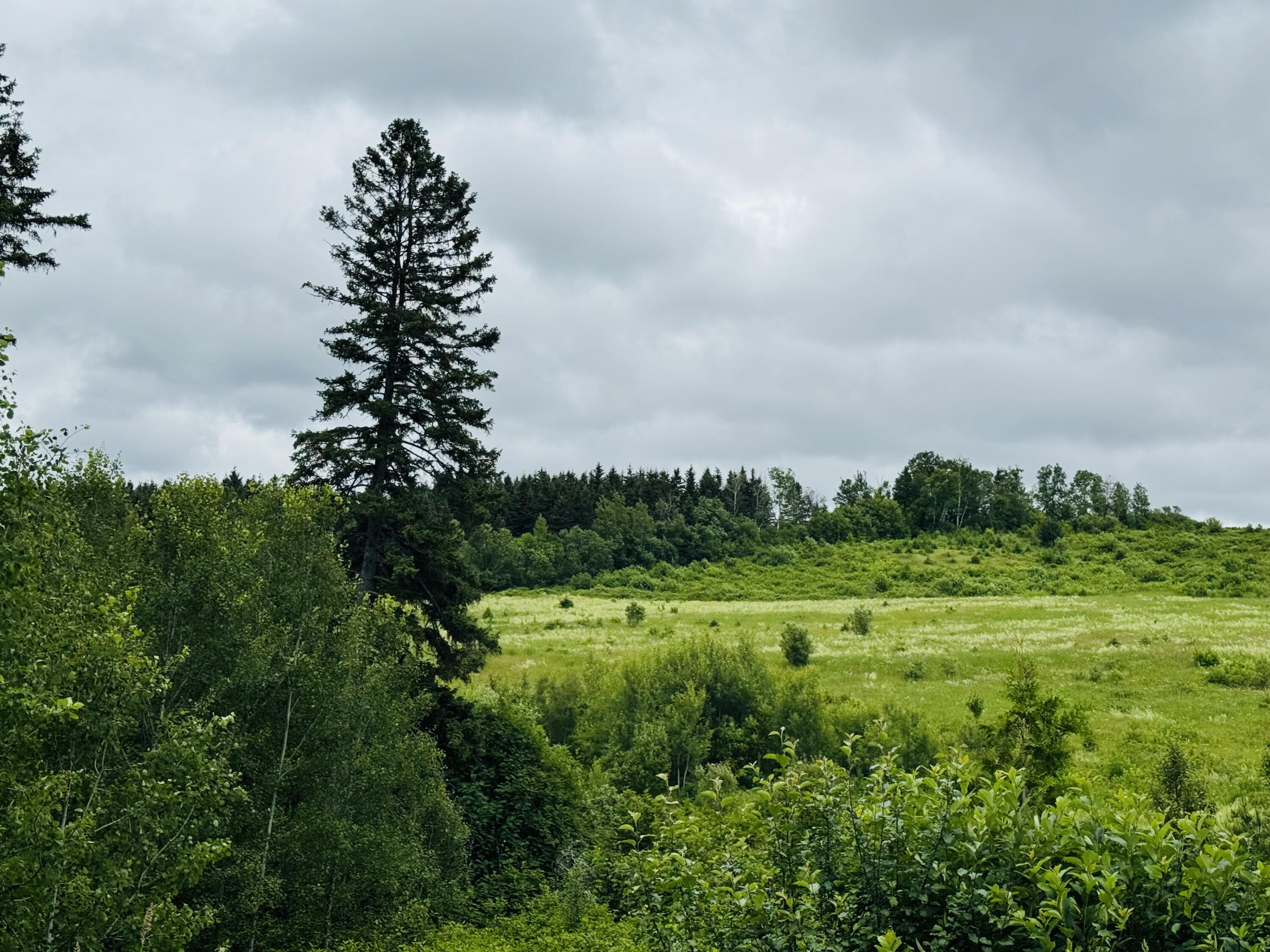 26 New Canada Road, New Canada, ME, 04743