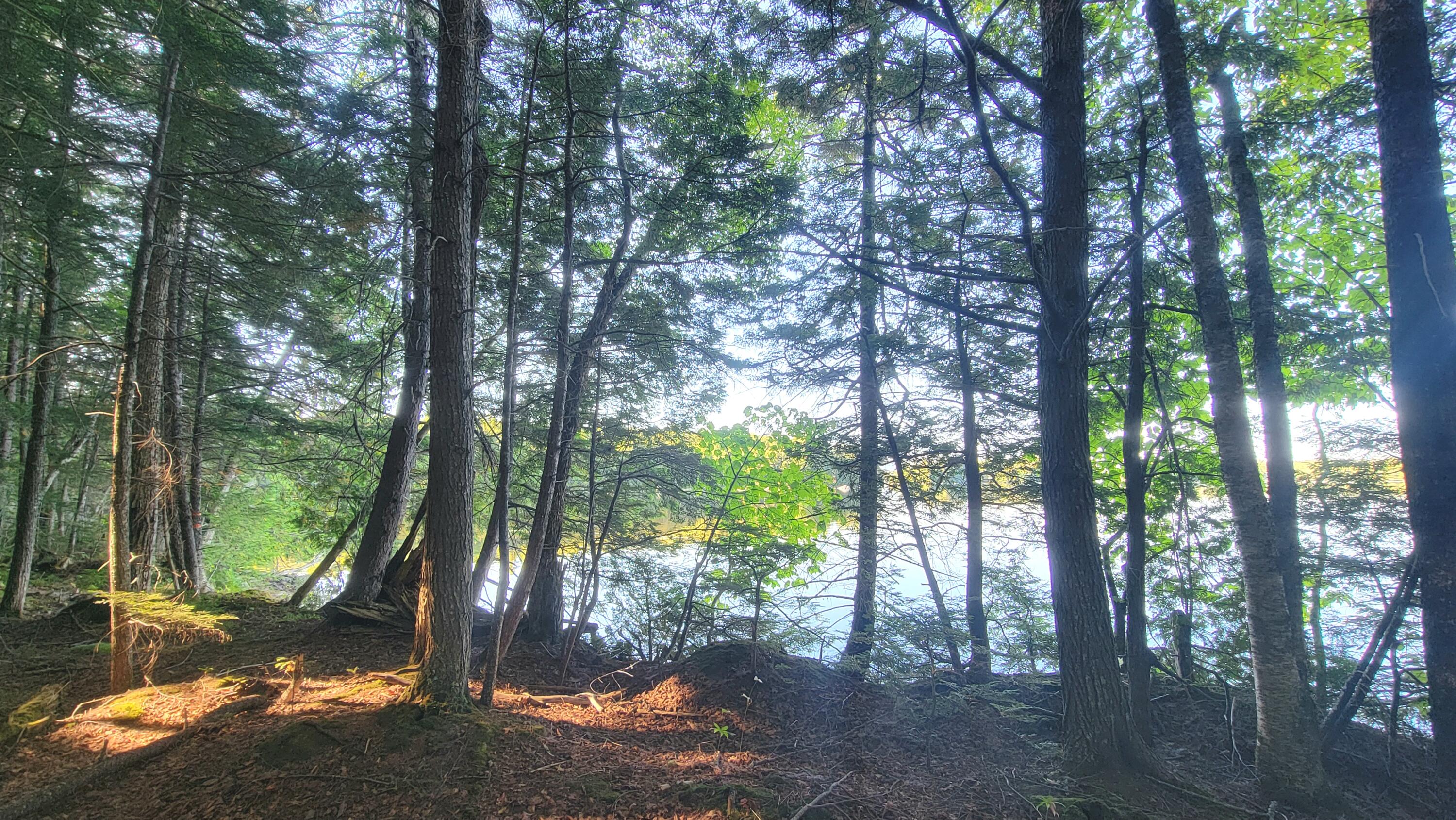 T1R8 WELS Millinocket Lake, Millinocket, ME, 04462