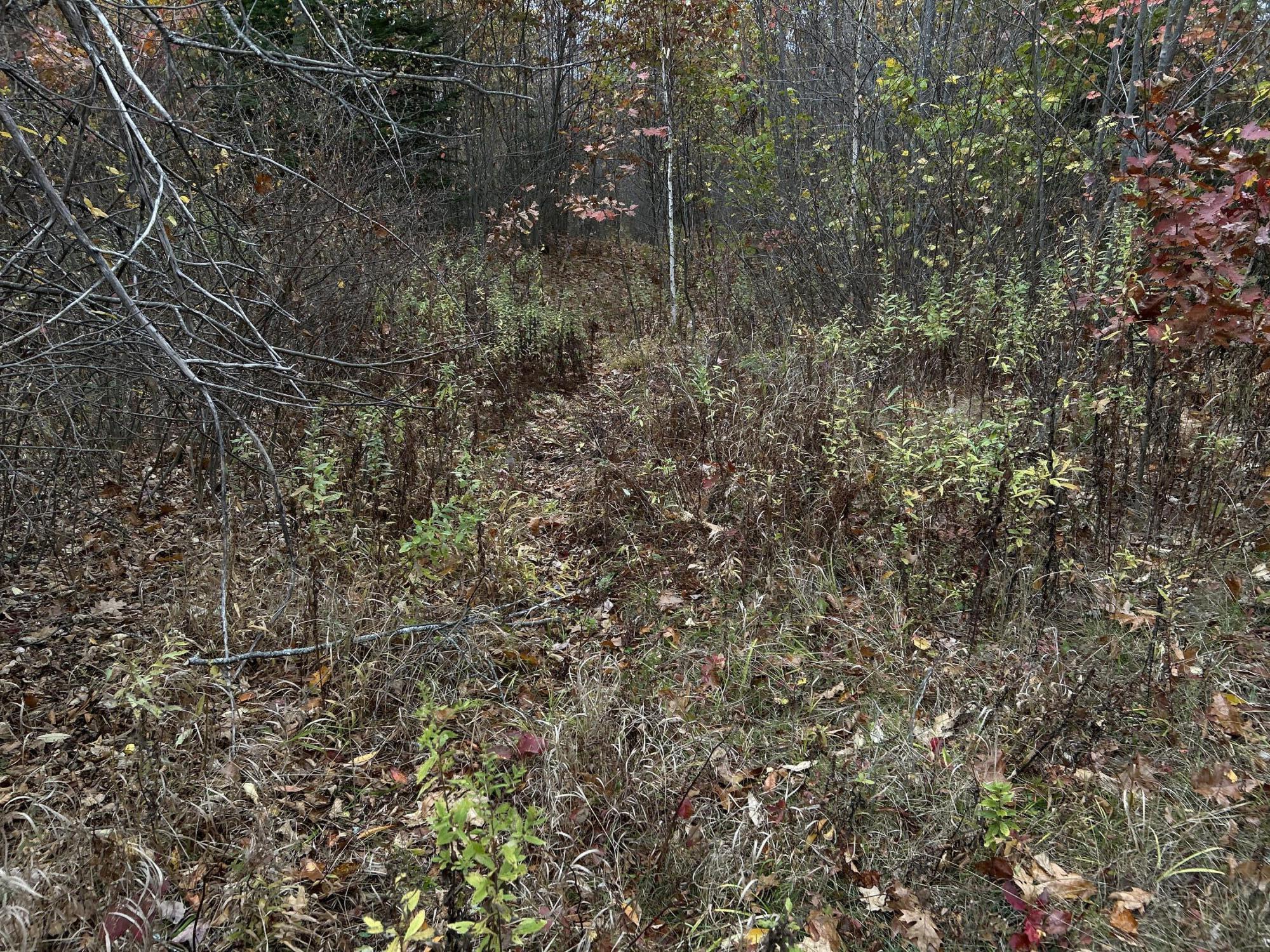 M4L18 Bog Road, Jackson, ME, 04921