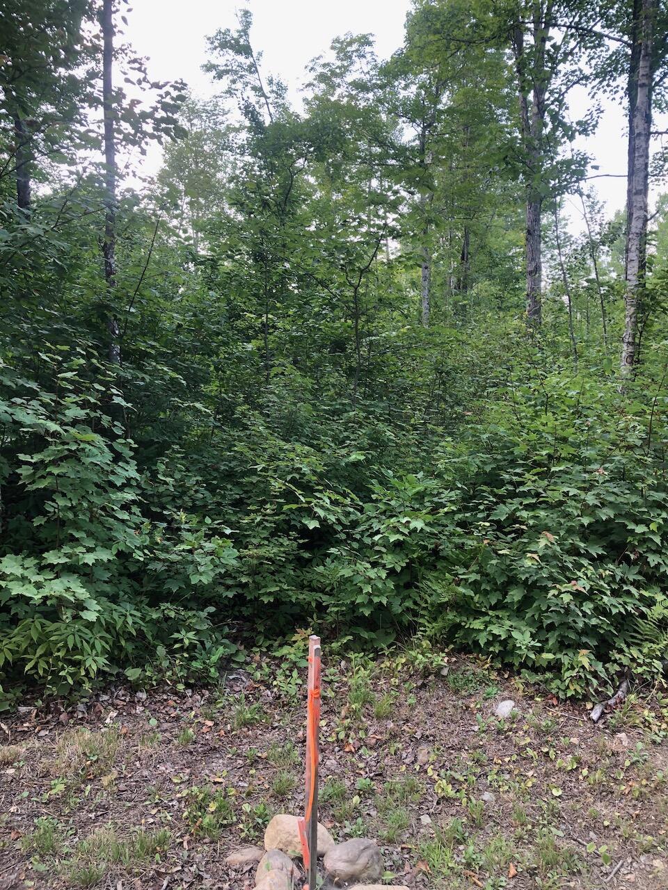 06 Swett Brook Lane, Weld, ME, 04285