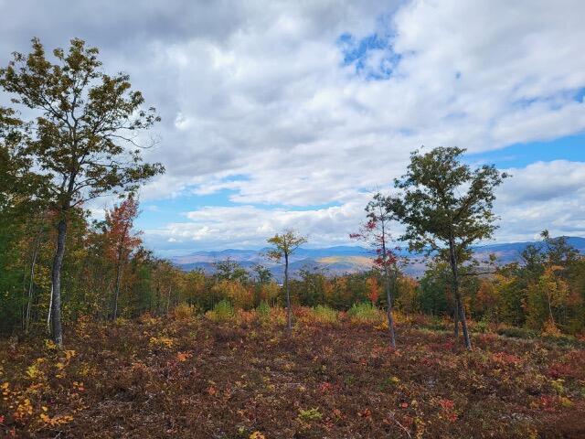 105 Mine Road UNIT Lot 8, Stoneham, ME, 04231