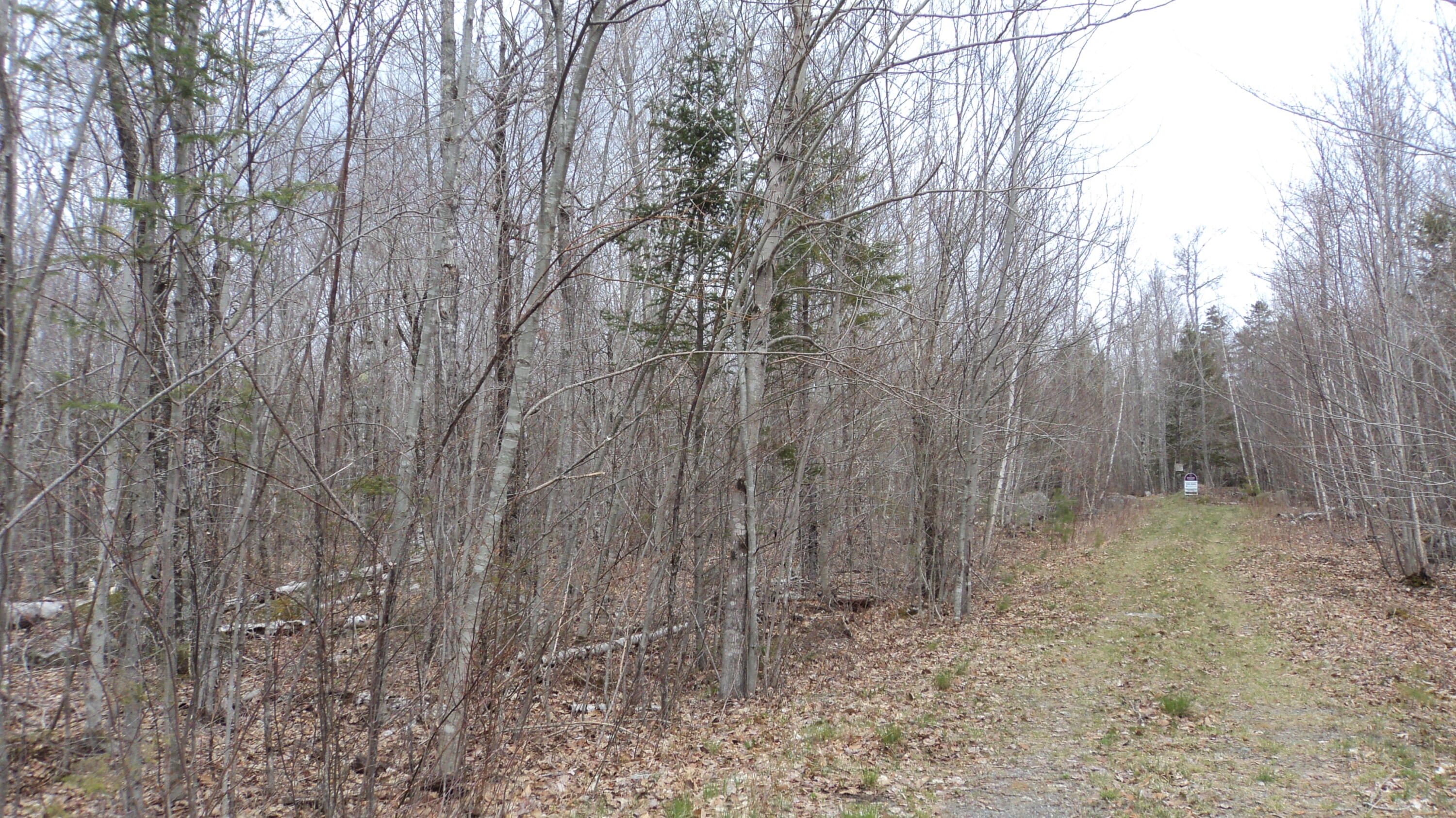 00 Green Lake Road, Dedham, ME 04429