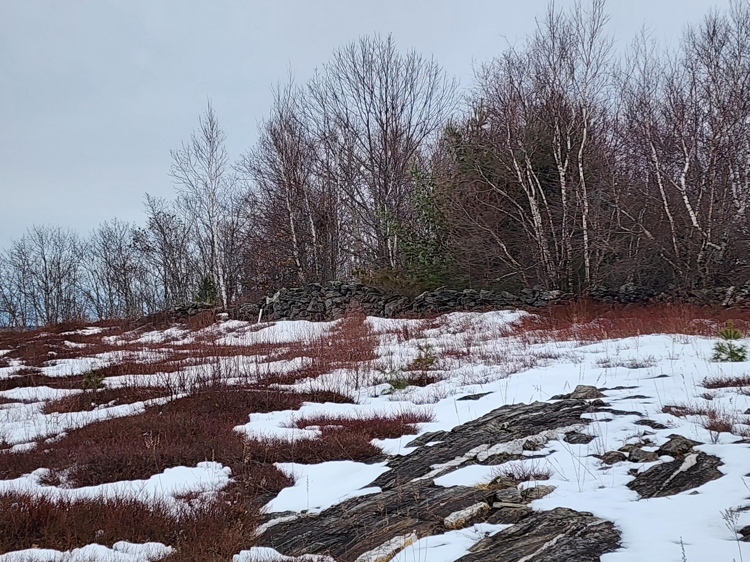 3 Whispering Berries Hill, Liberty, ME, 04949