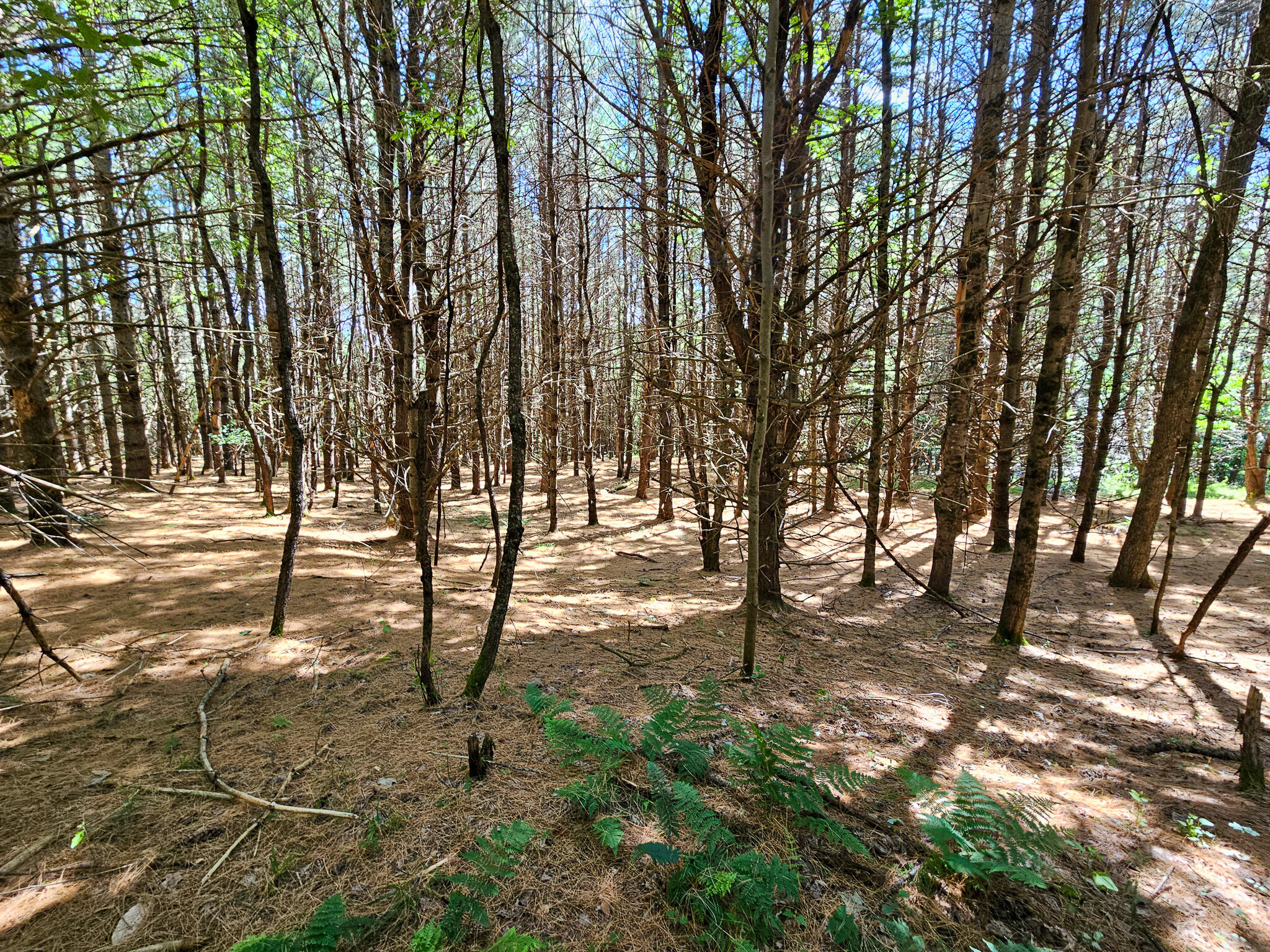 11-31-C Stone Hill Road, Farmington, ME, 04938