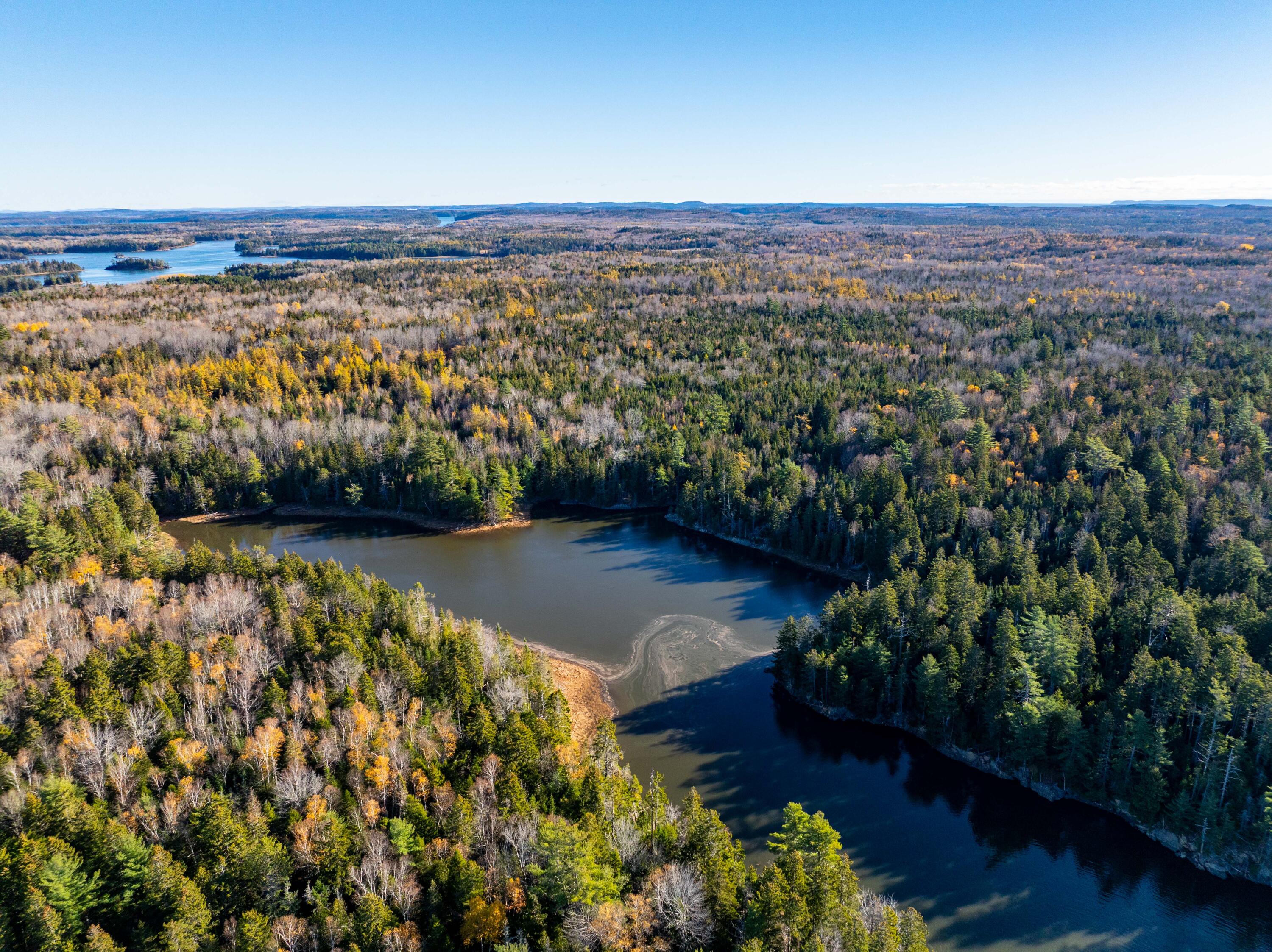 01-4 WA035, Trescott Twp, ME, 04652