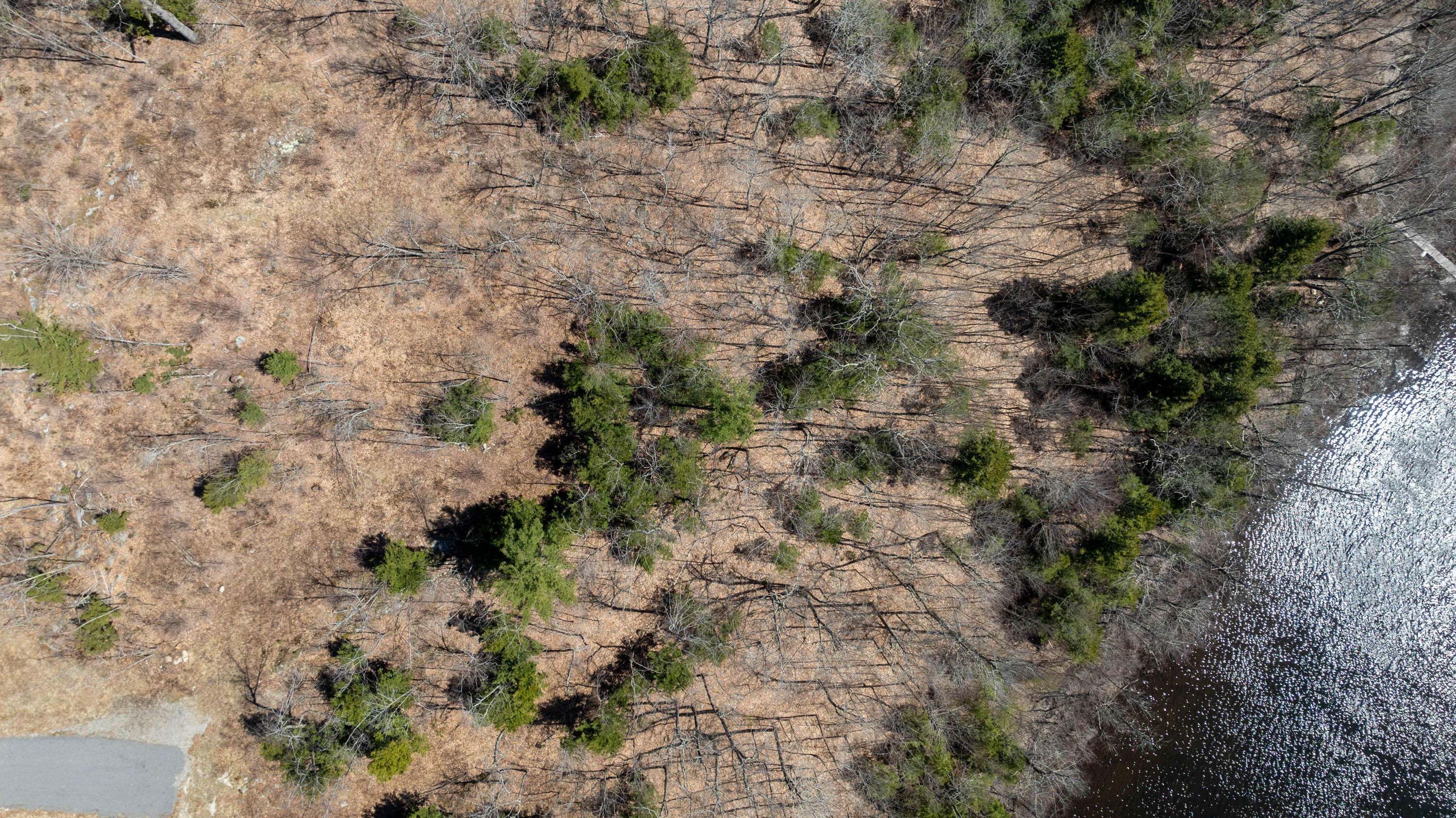 Lot 6 Cobbo Lane, West Gardiner, ME, 04345