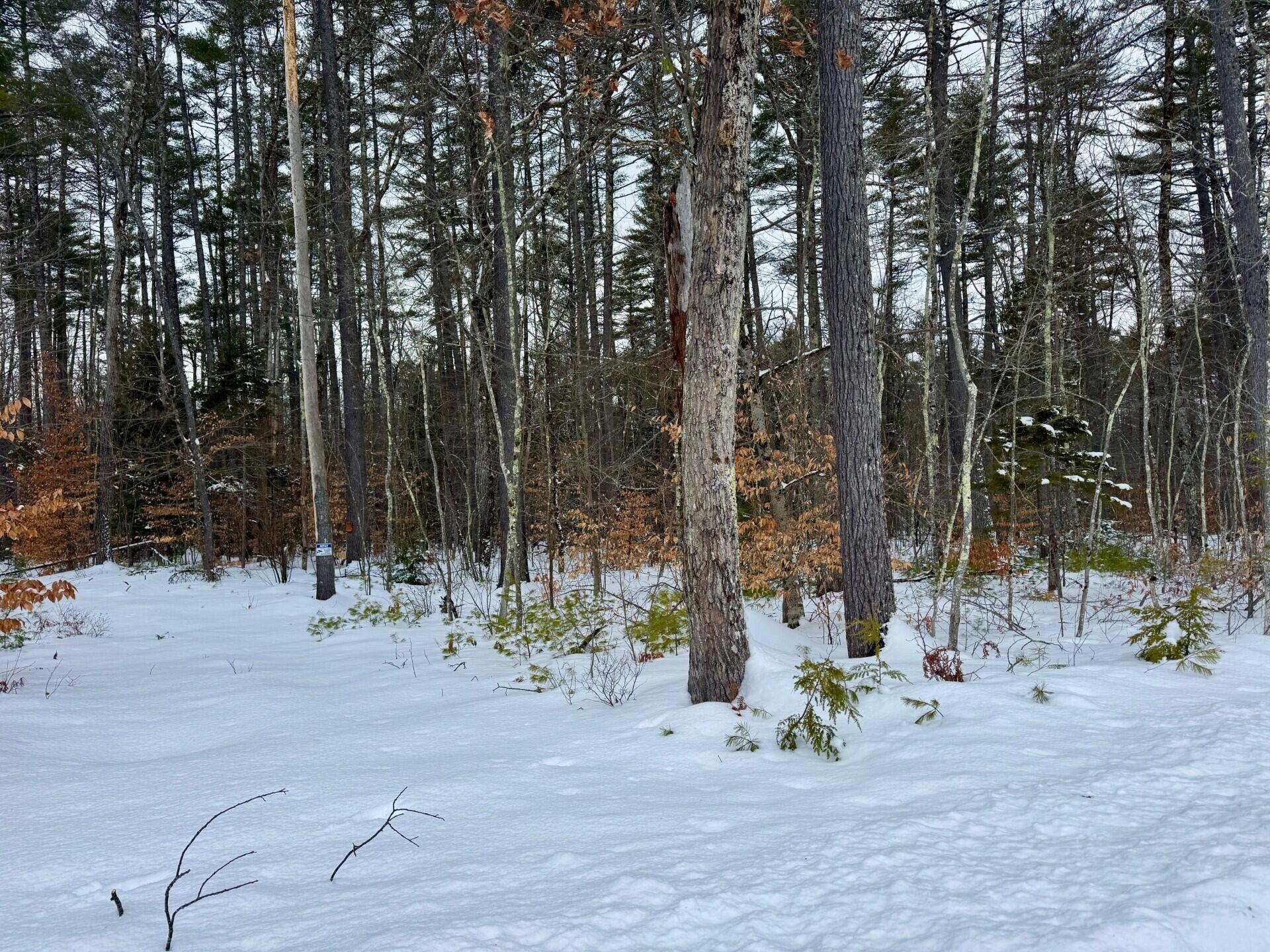 TBD Swans Falls Road UNIT Lot A, Fryeburg, ME, 04037