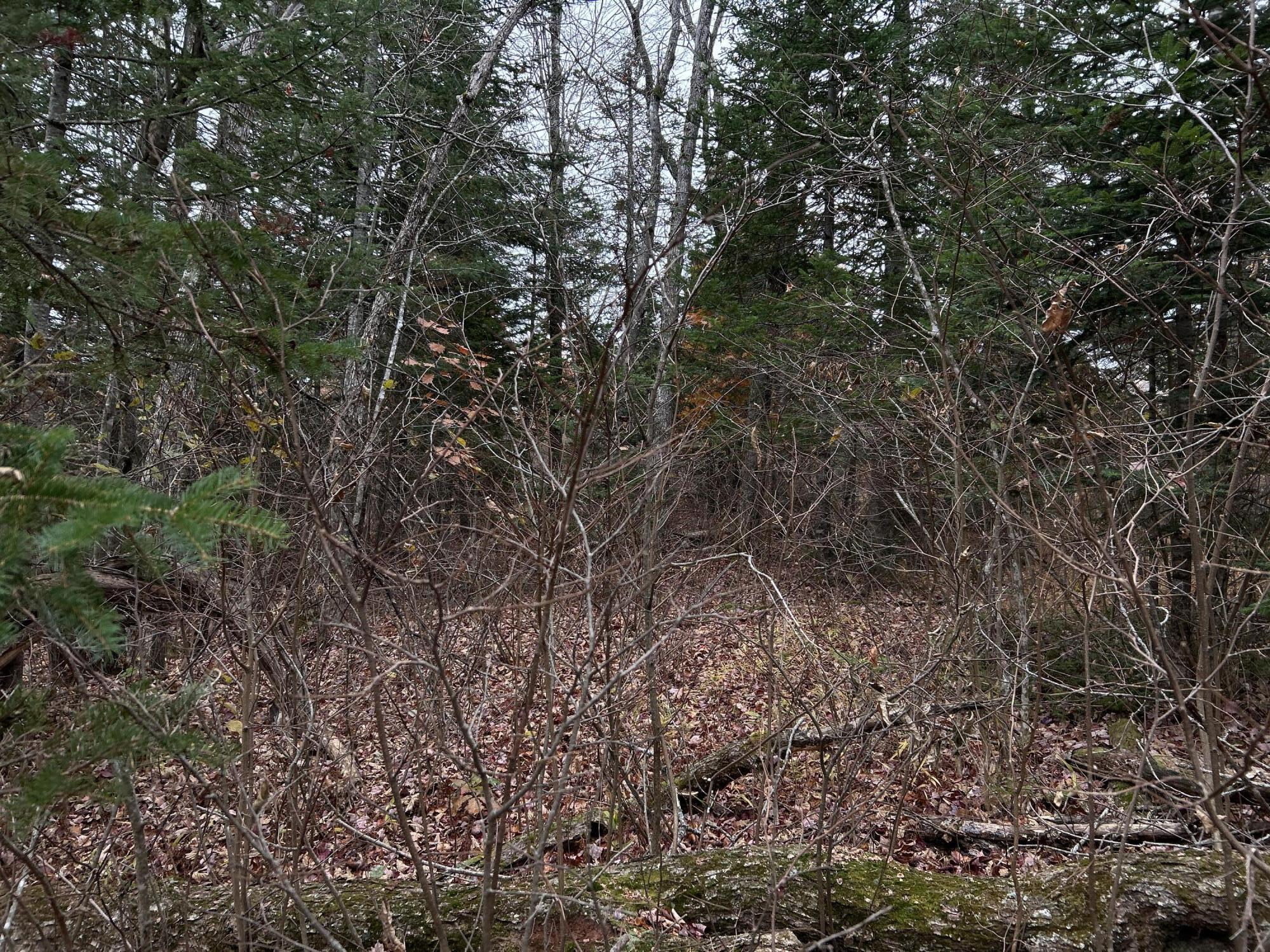 M4L18 Bog Road, Jackson, ME, 04921