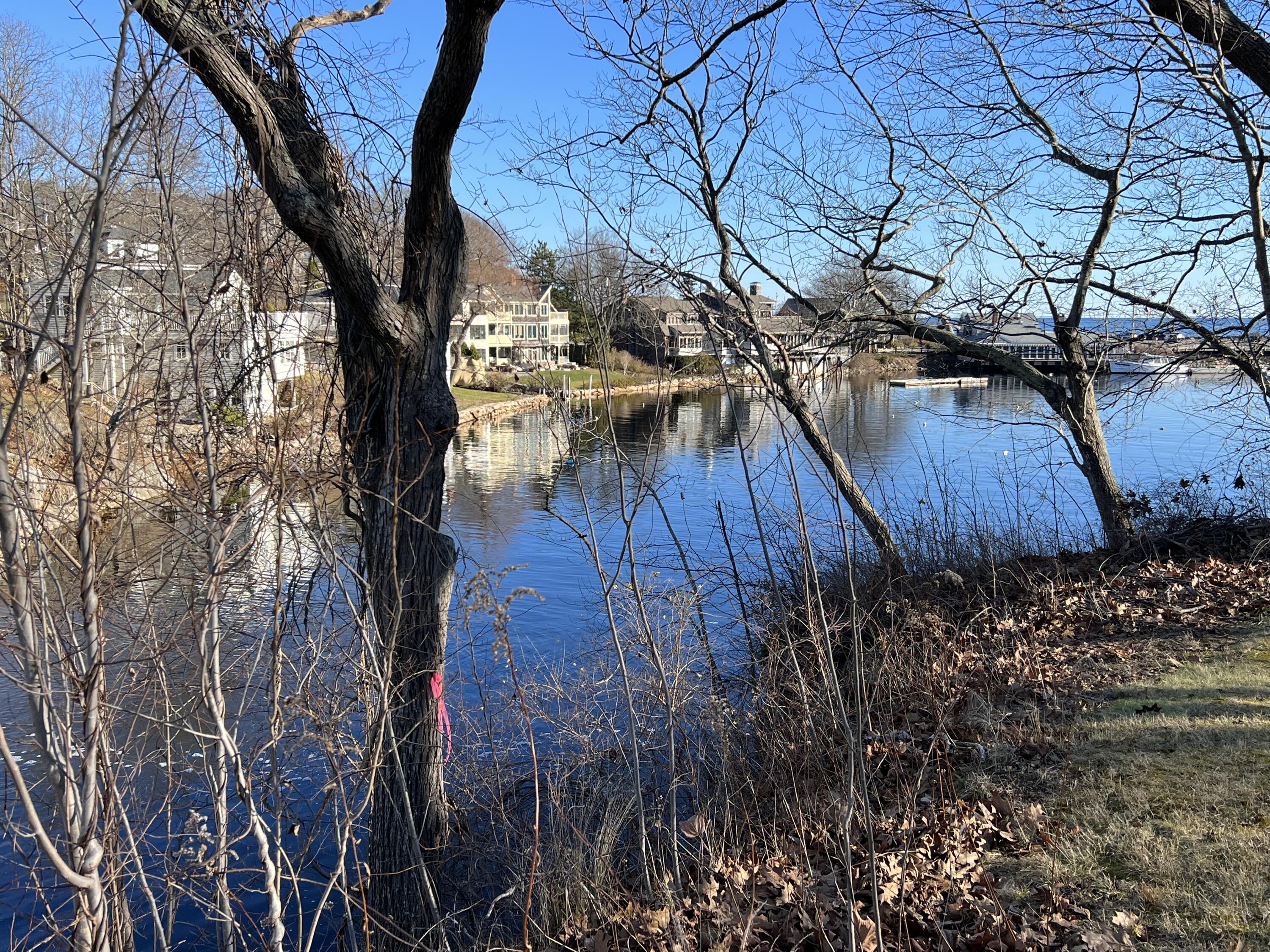 0 Blackcat Pt Drive, Princeton, ME, 04668