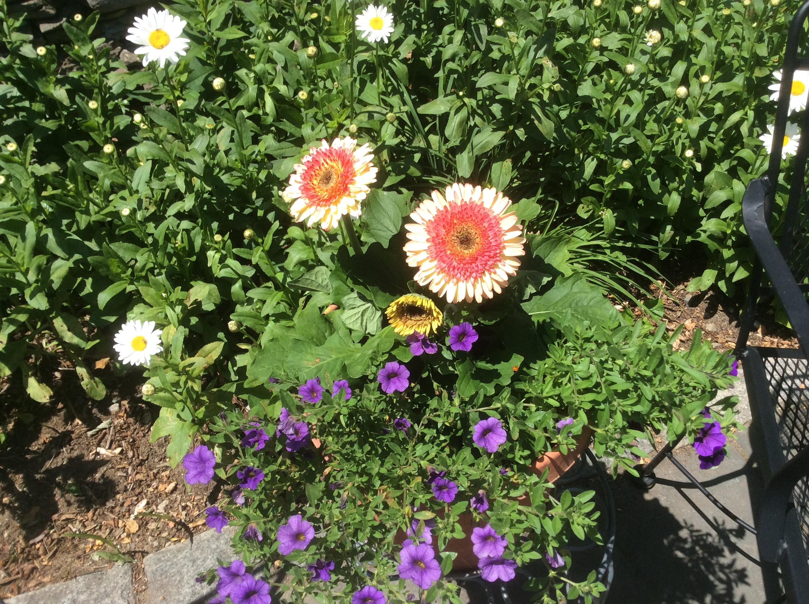 482 Back Road, Shapleigh, ME, 04076