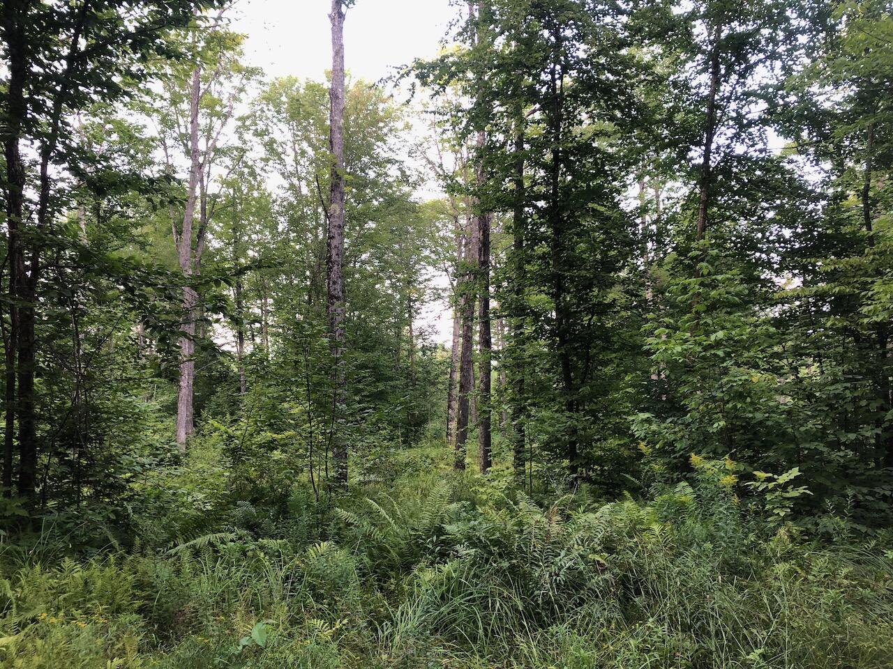 06 Swett Brook Lane, Weld, ME, 04285