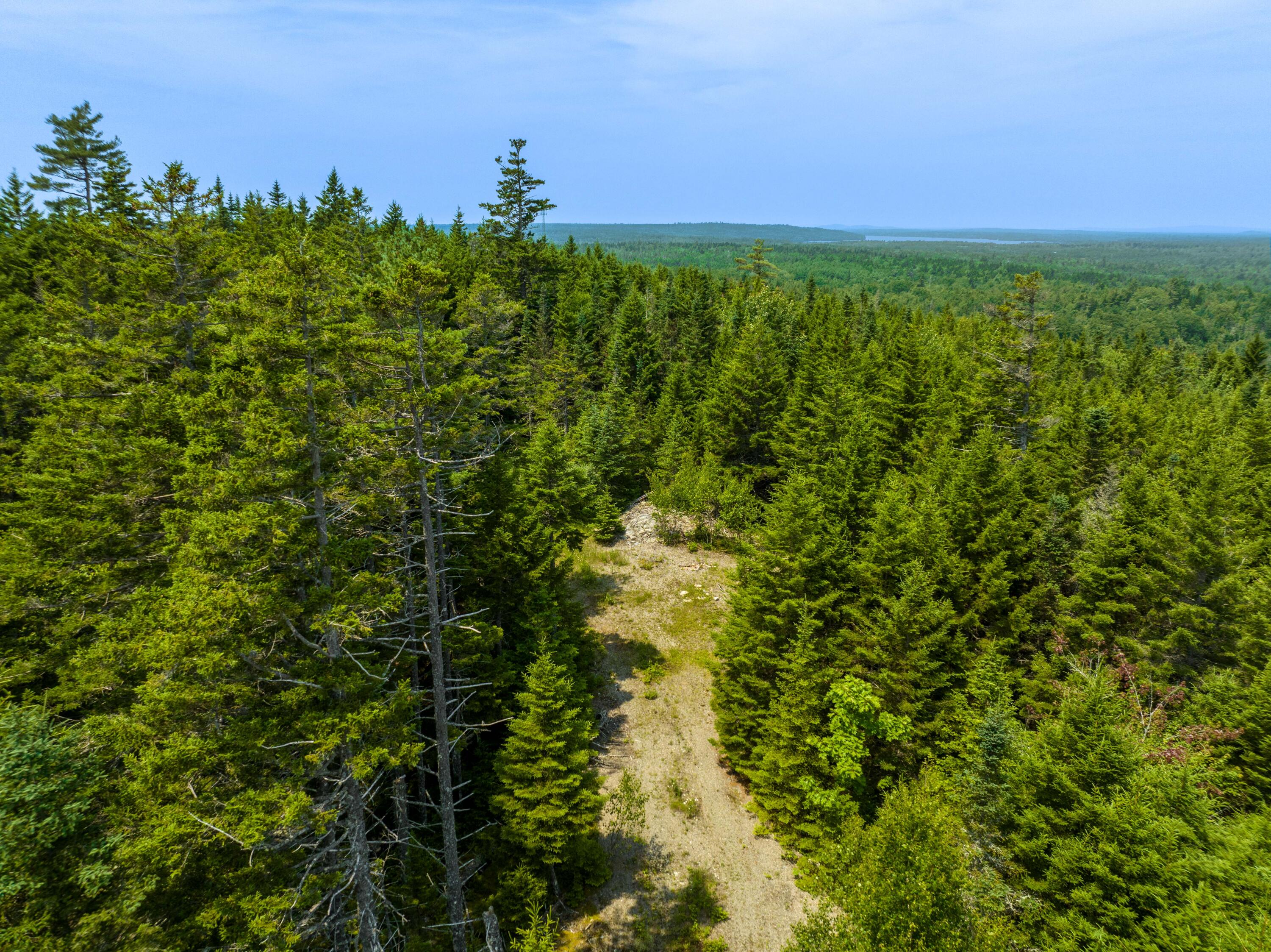 65 Lookout Mountain Road, East Machias, ME, 04630