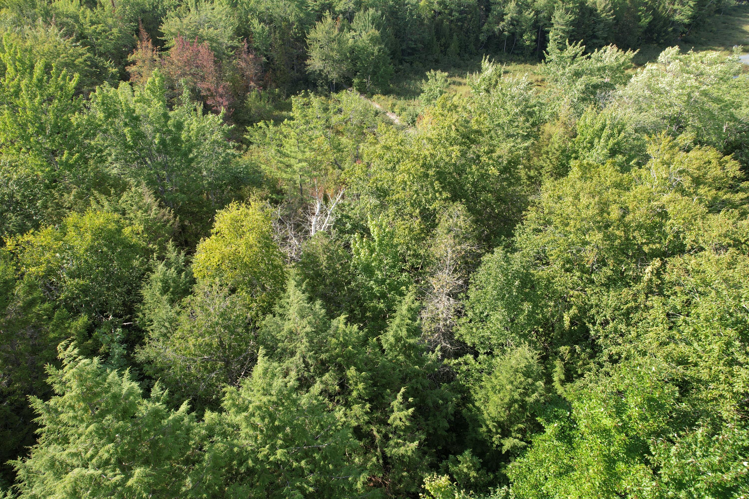 69K Christmas Cove Road, Crawford, ME, 04694