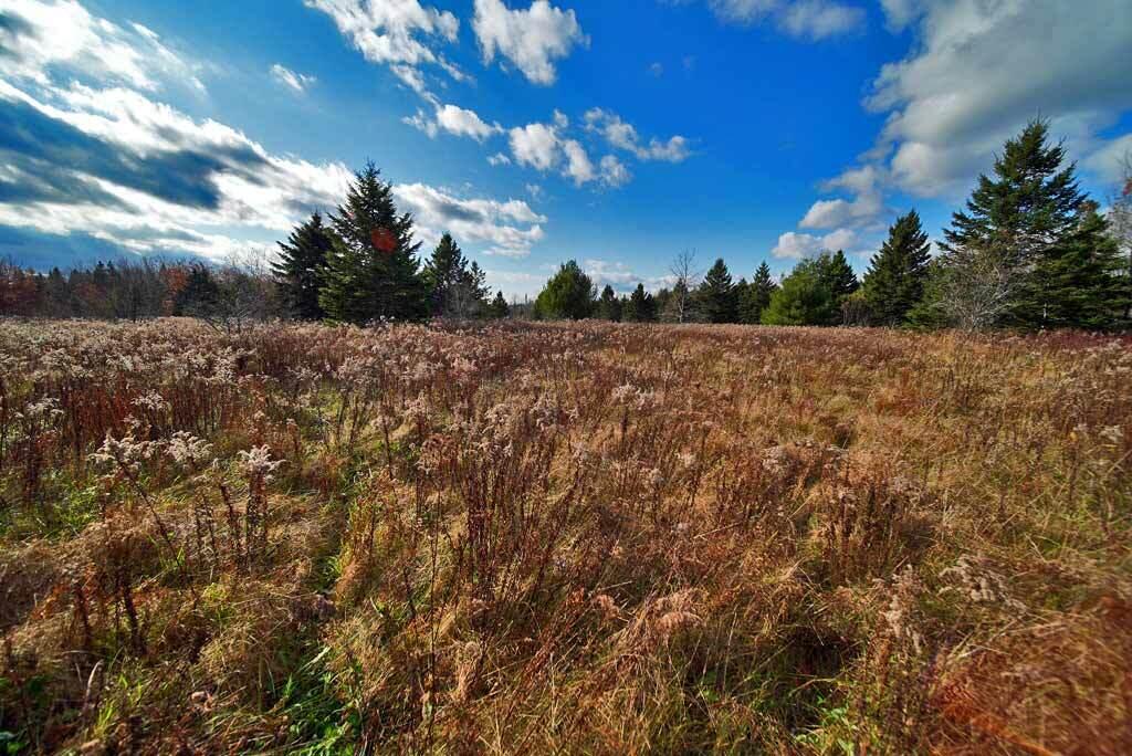 Lot 18 US RT 2 Highway, Sherman, ME, 04776