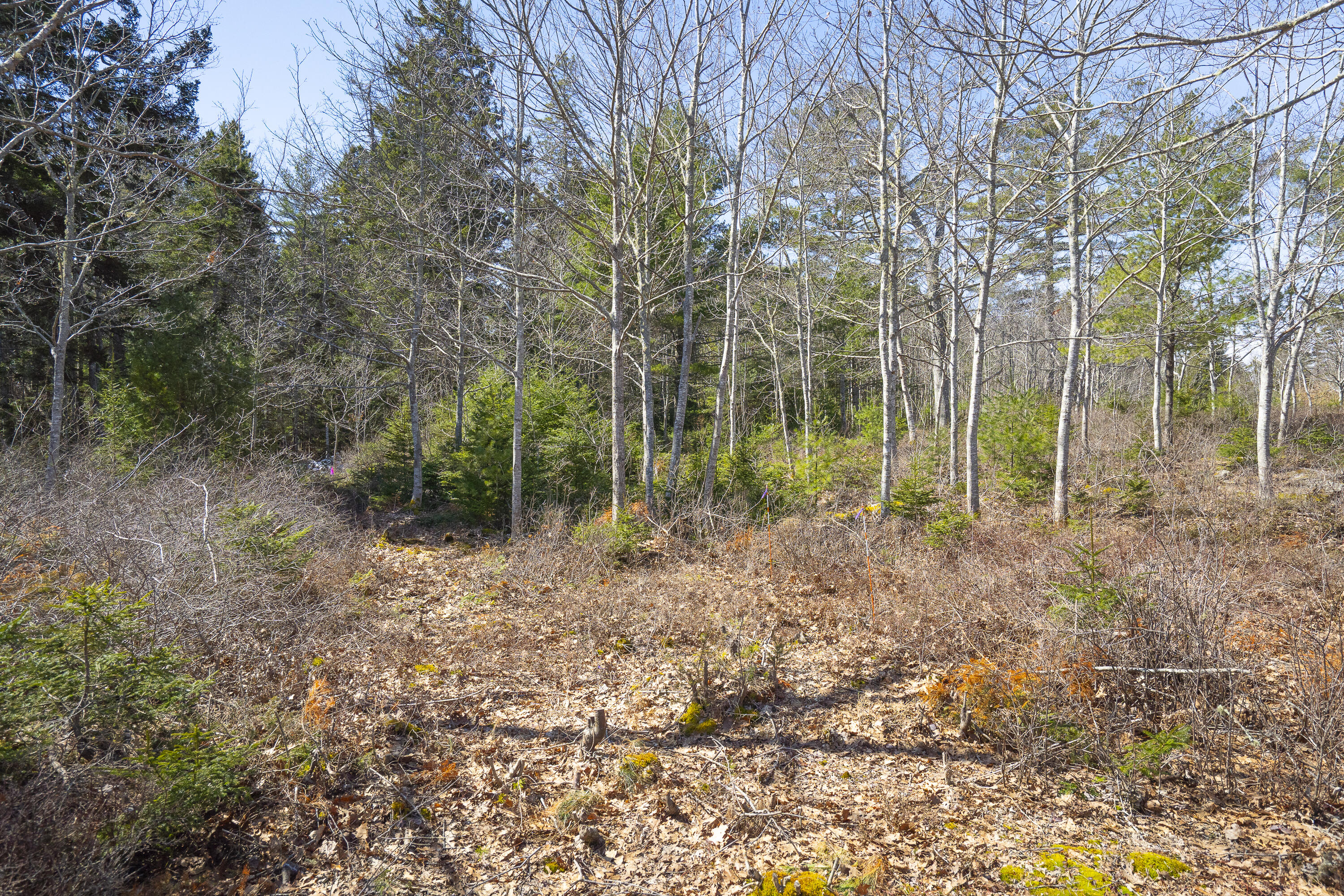 P/O 4-1 Cameron Point Road, Southport, ME, 04576