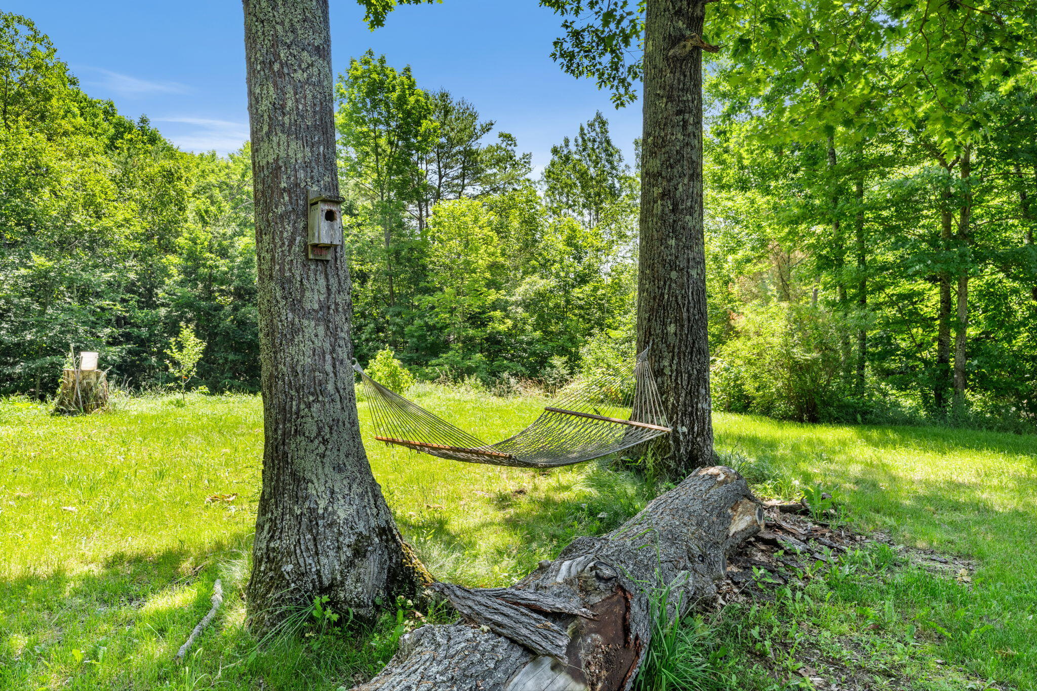 1664 Lewiston Road, Litchfield, ME 04350 7-web-or-mls-DSC05749