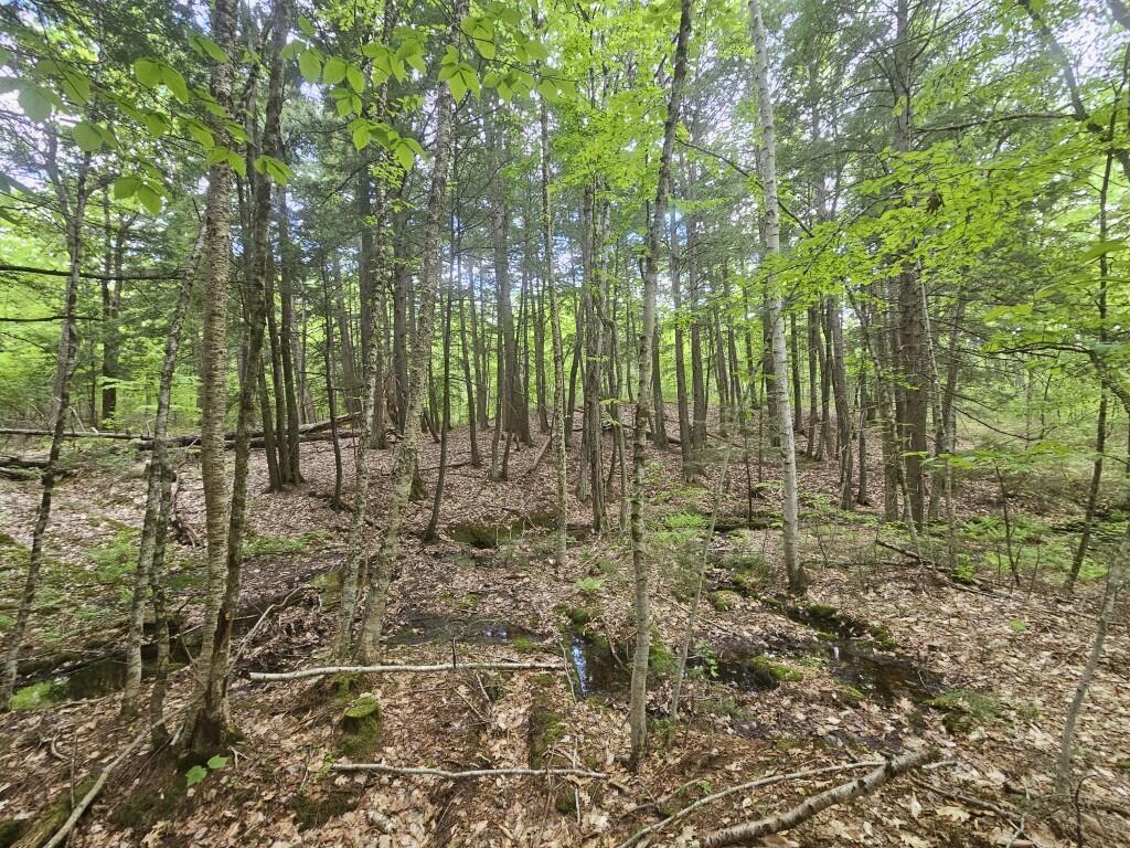 M10L44 Mountain View Road, Fryeburg, ME, 04037