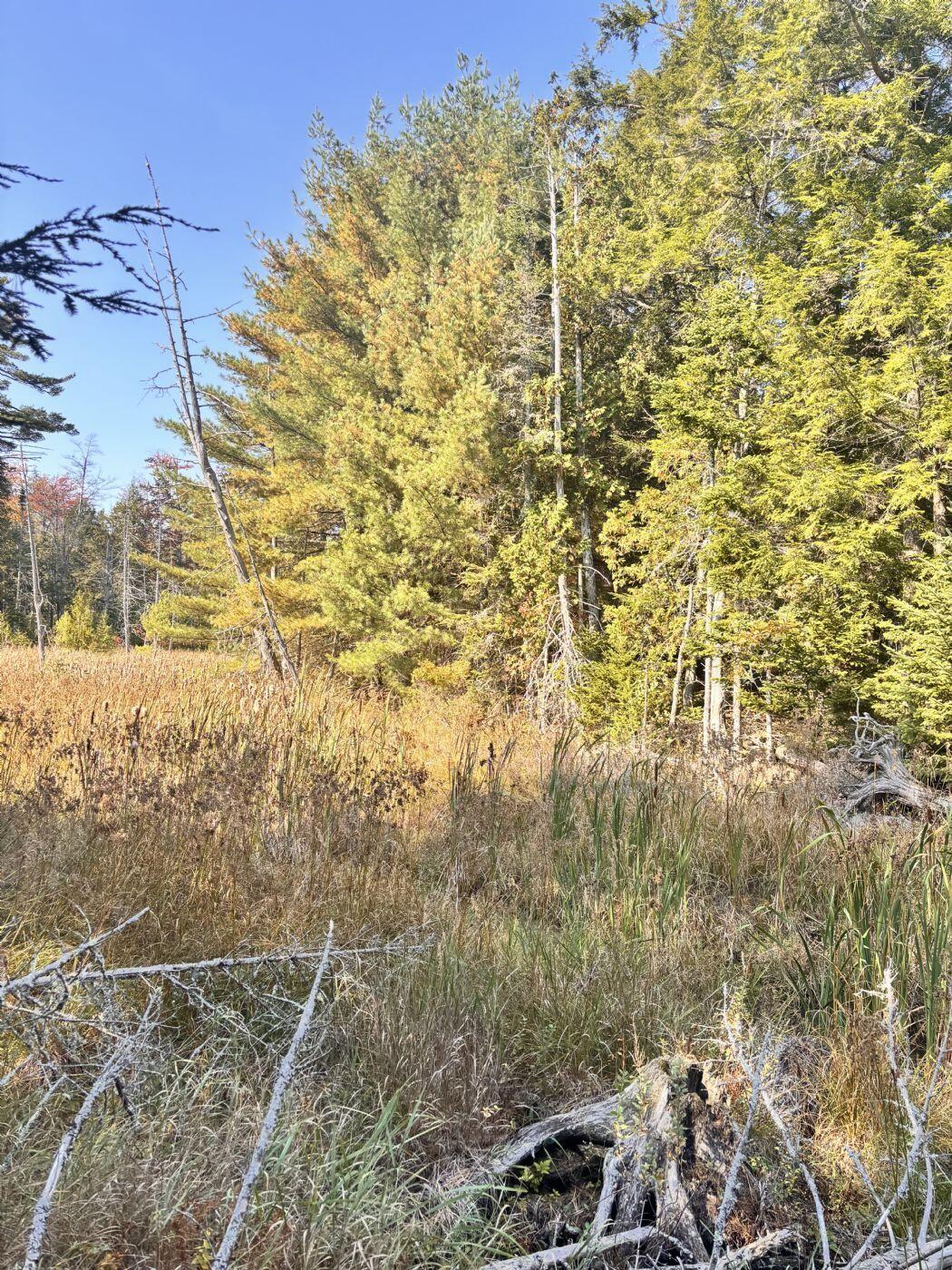 150 Bowden Point Road, Prospect, ME, 04981