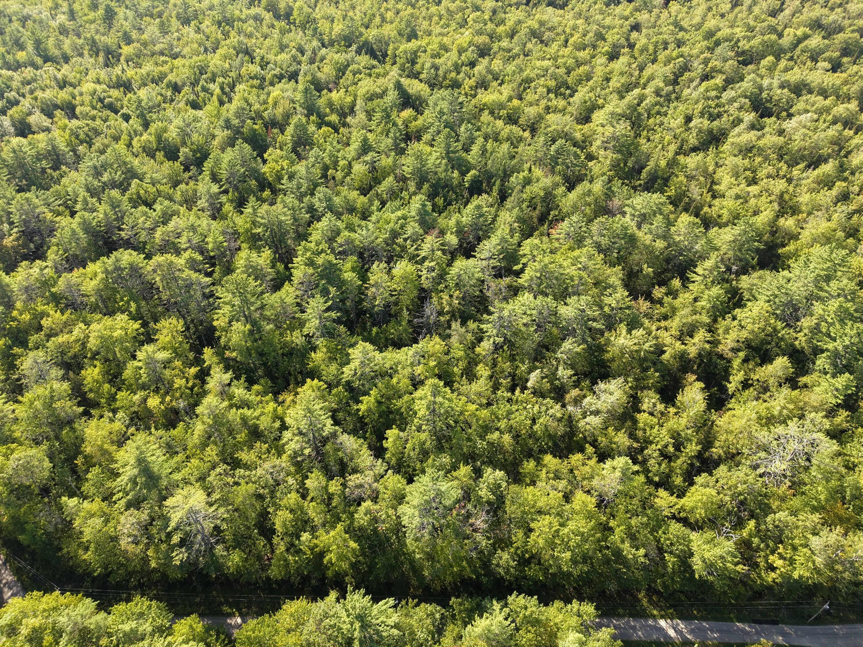 Lot 9-18 Deer Run, Mount Vernon, ME, 04352