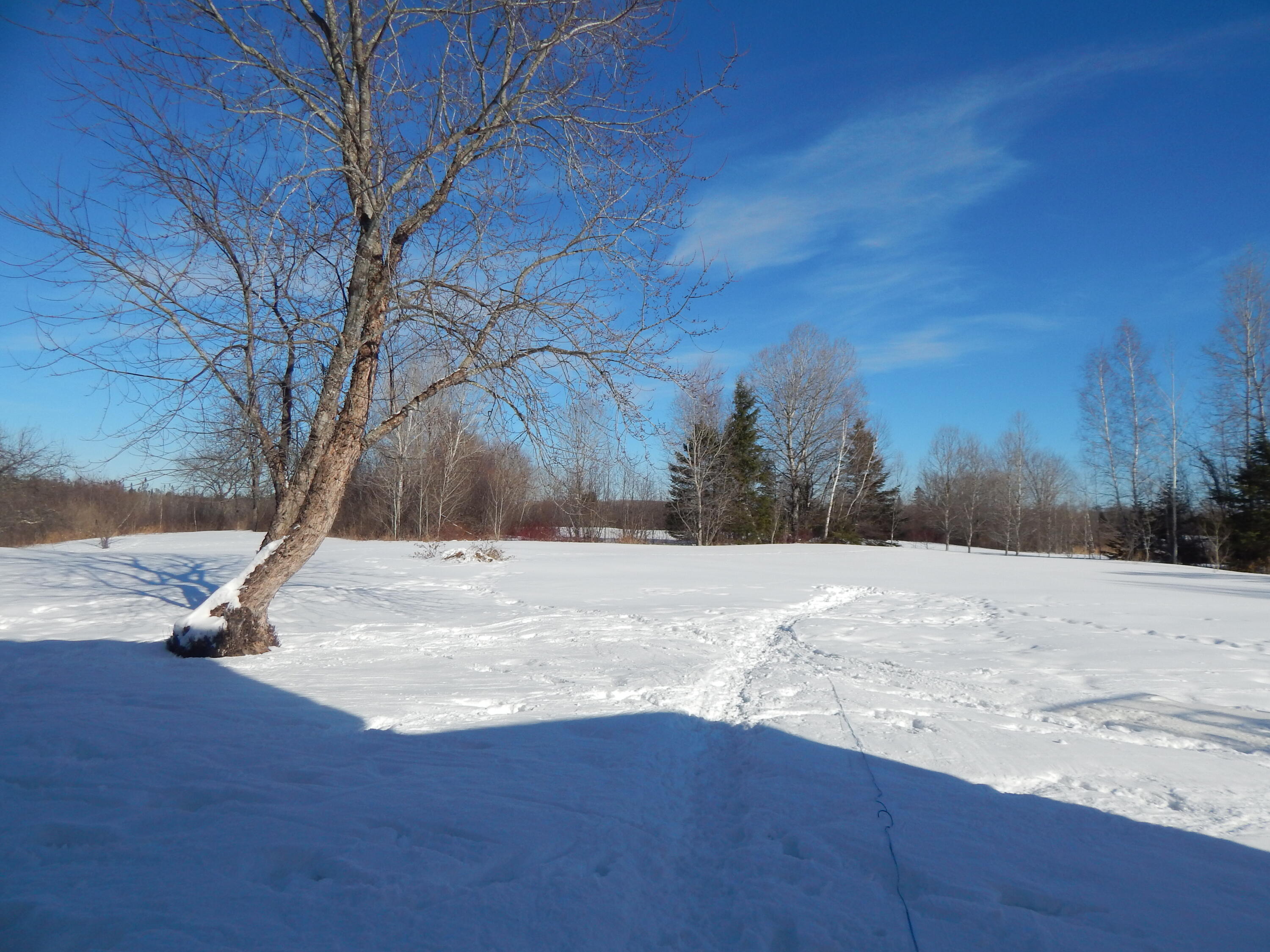 339 Station Road, Sherman, ME, 04776