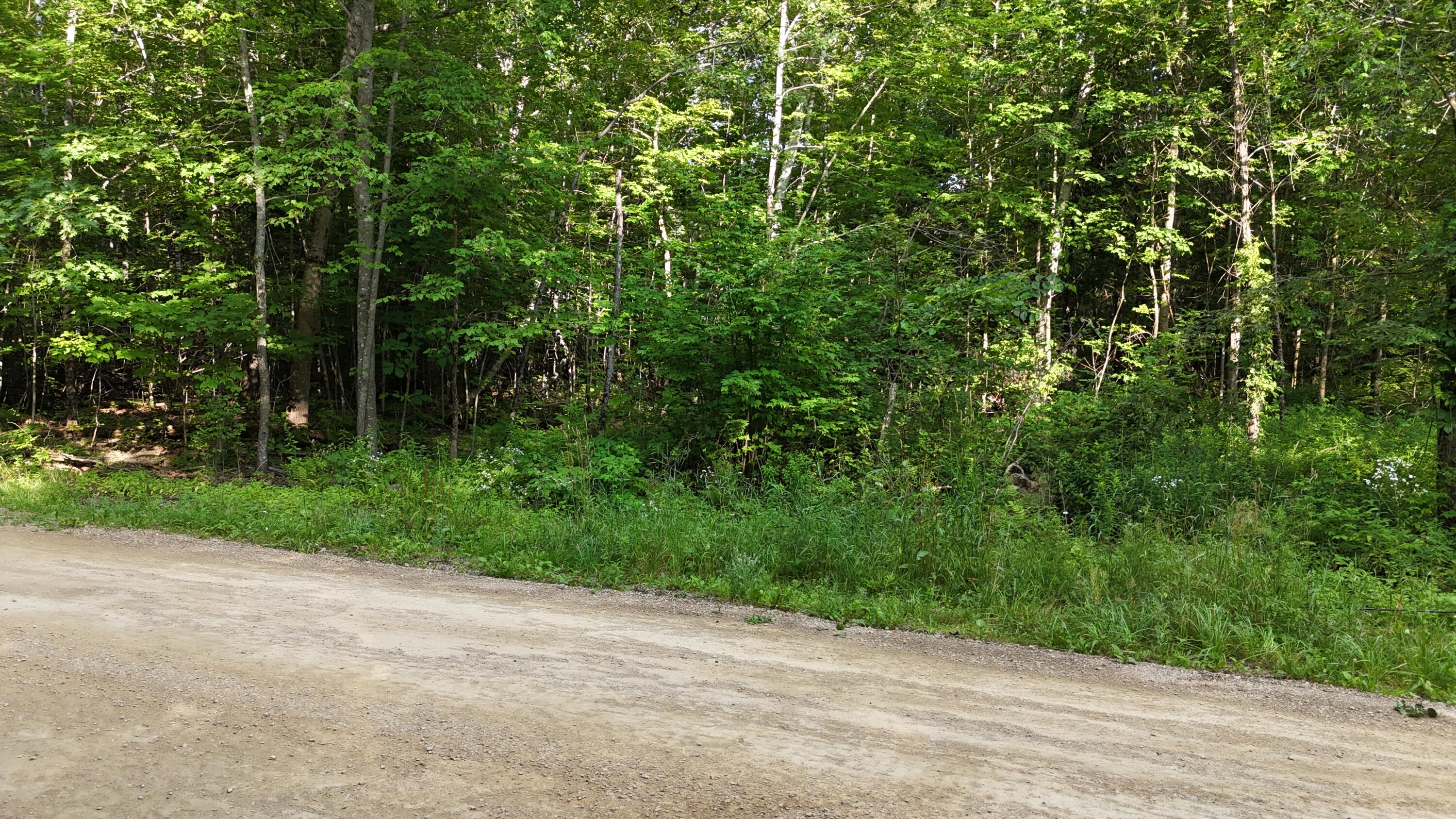 Lot 3-12 Shady Lane, Newport, ME, 04953