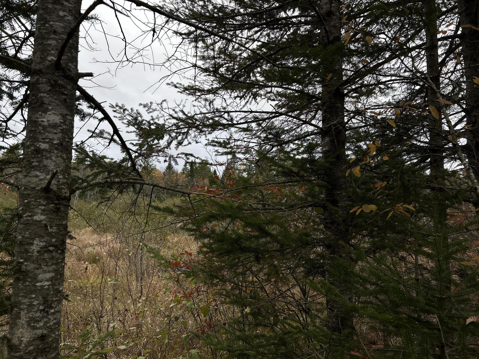 M4L18 Bog Road, Jackson, ME, 04921