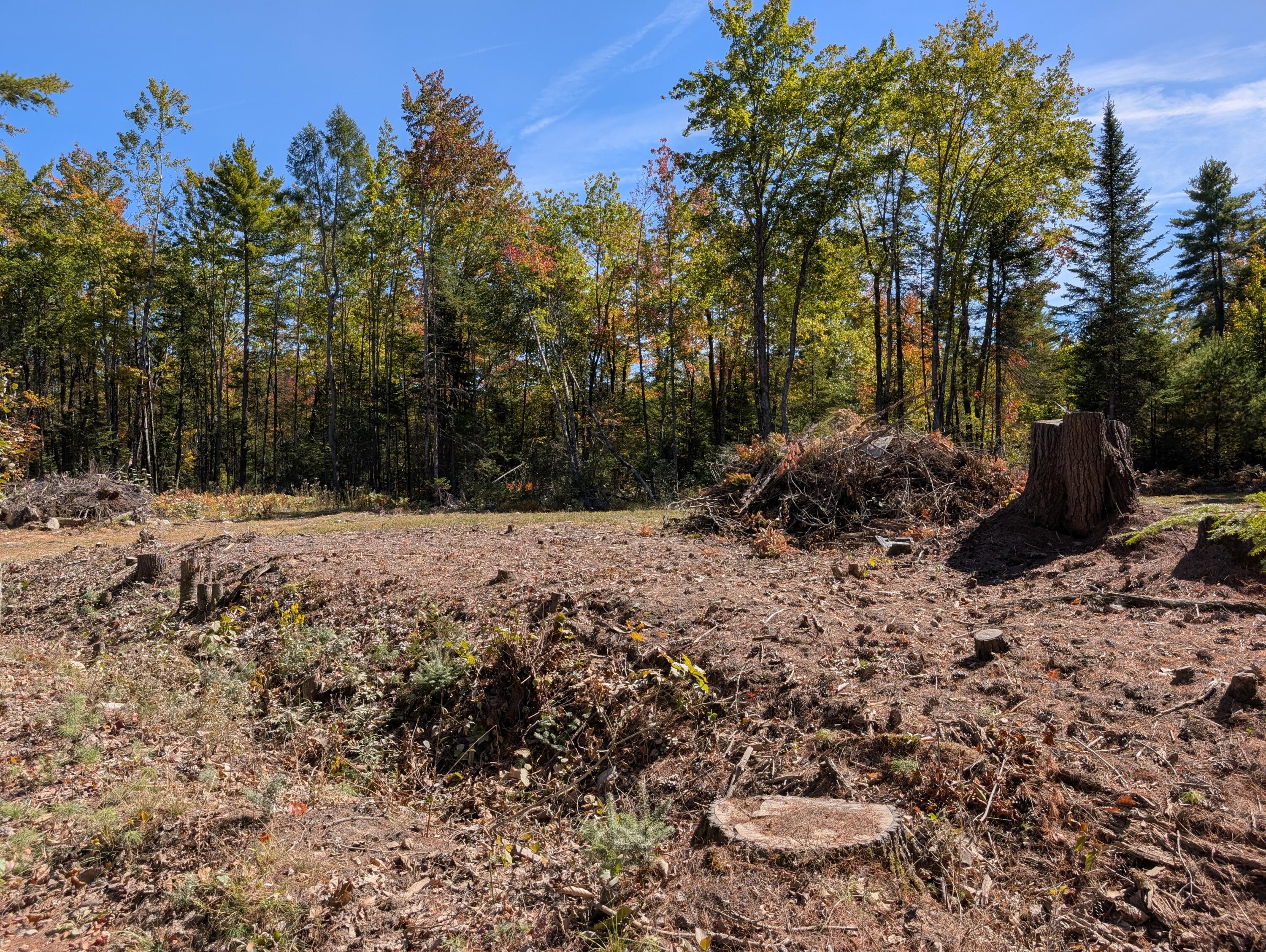 MR11 Lot40 Yeaton Swamp Road, Oxford, ME, 04270