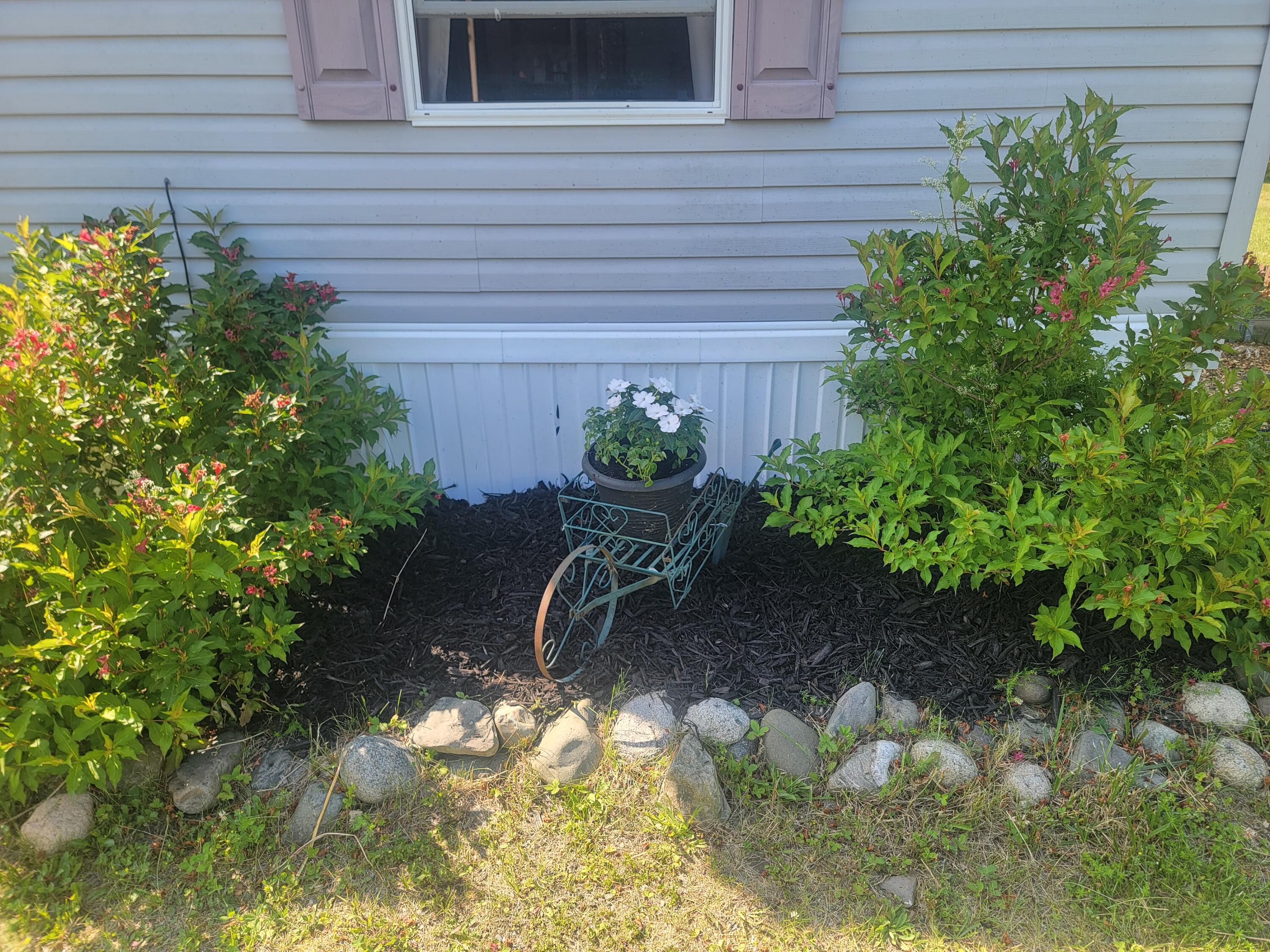 property-listing-images