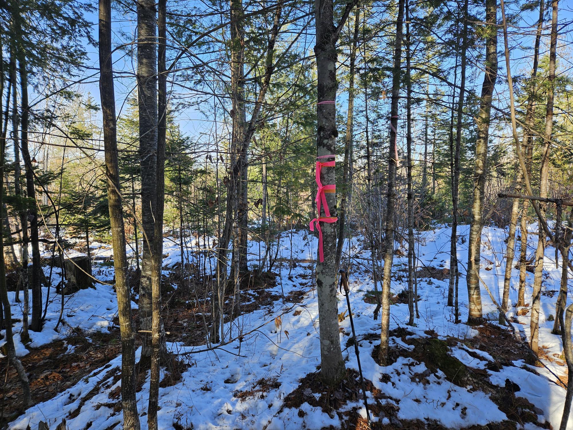 0 High Street, Peru, ME, 04290
