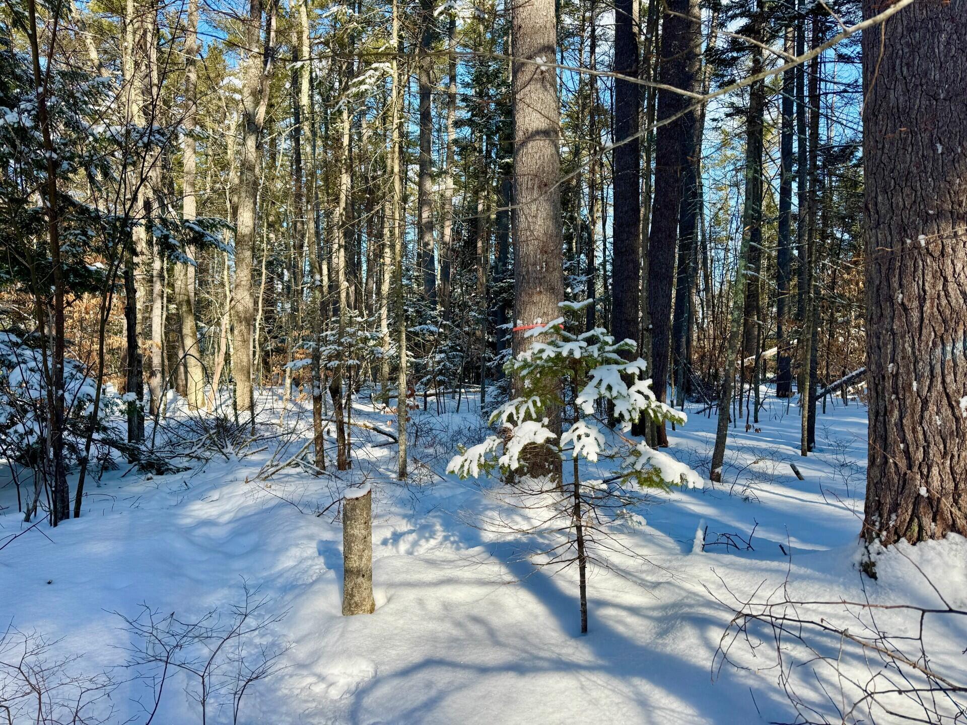 TBD Swans Falls Road UNIT Lot A, Fryeburg, ME, 04037