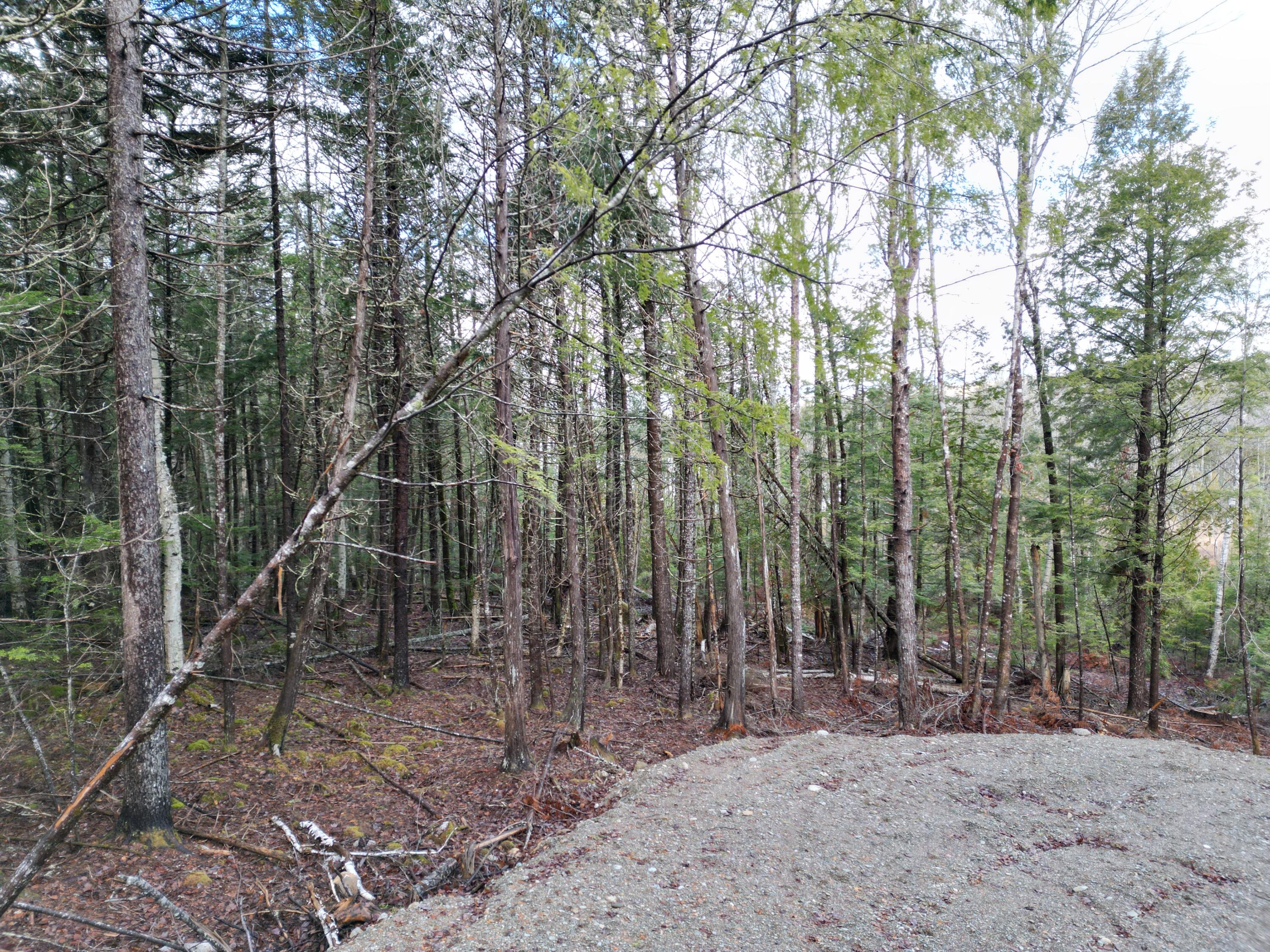 10 Falcon Ridge, Lincoln, ME, 04457