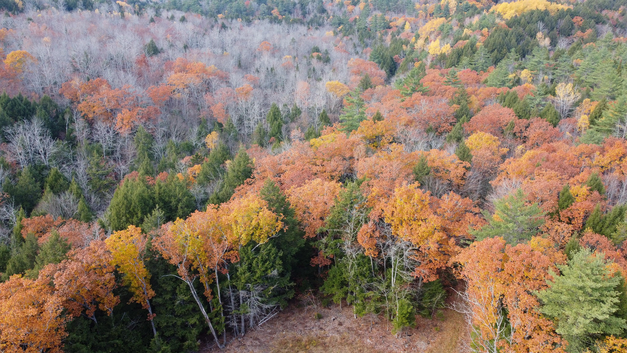 Lot 2 Darci Lane, Montville, ME, 04941